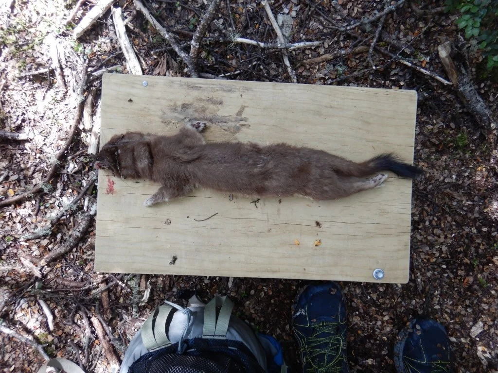 DSCN3463-Low Res.jpg