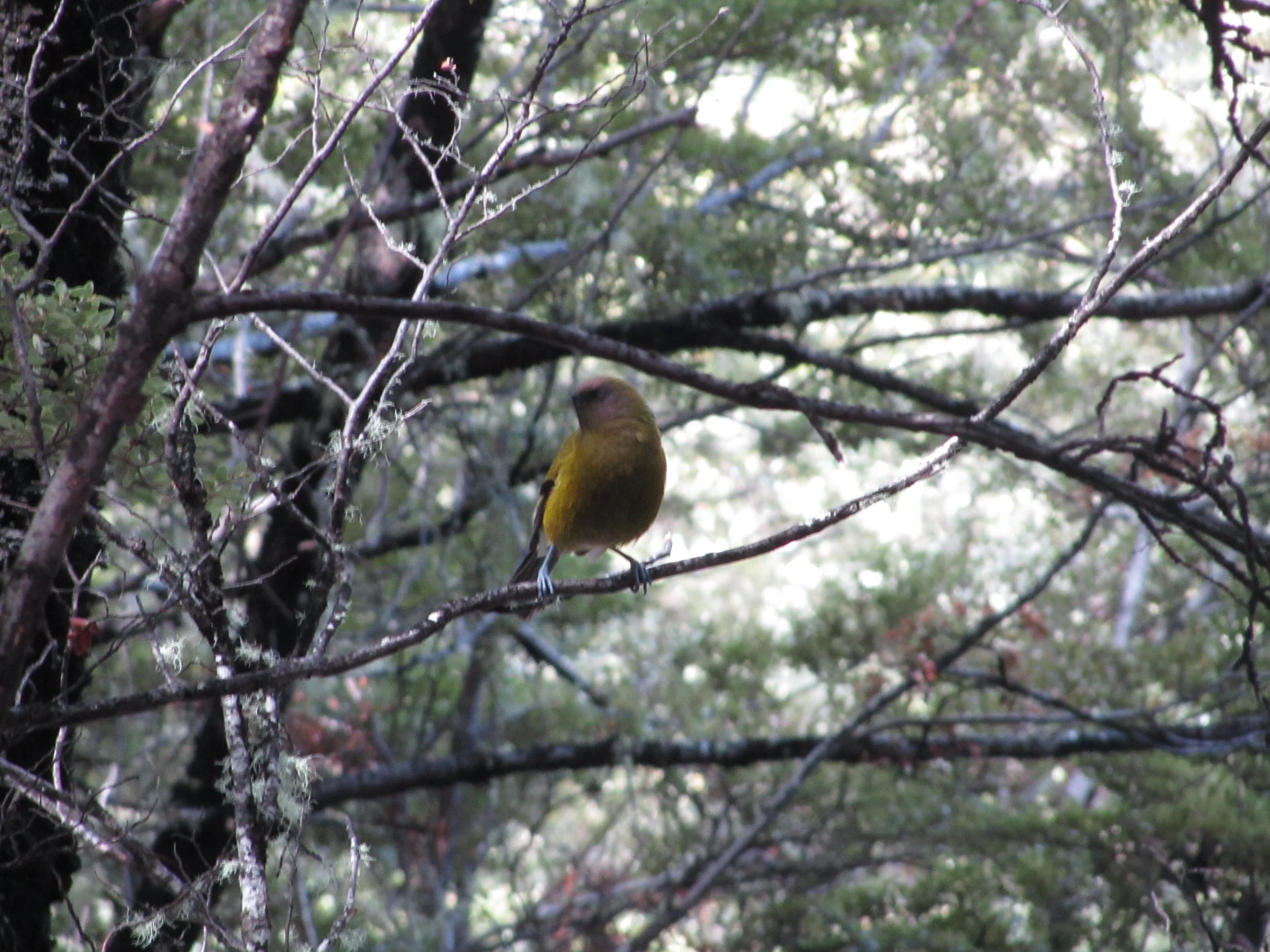 DFT Oct (33) - Copy.JPG