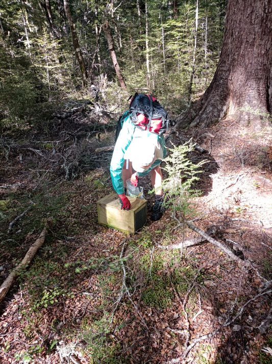 Juliet checking DOC200.jpg