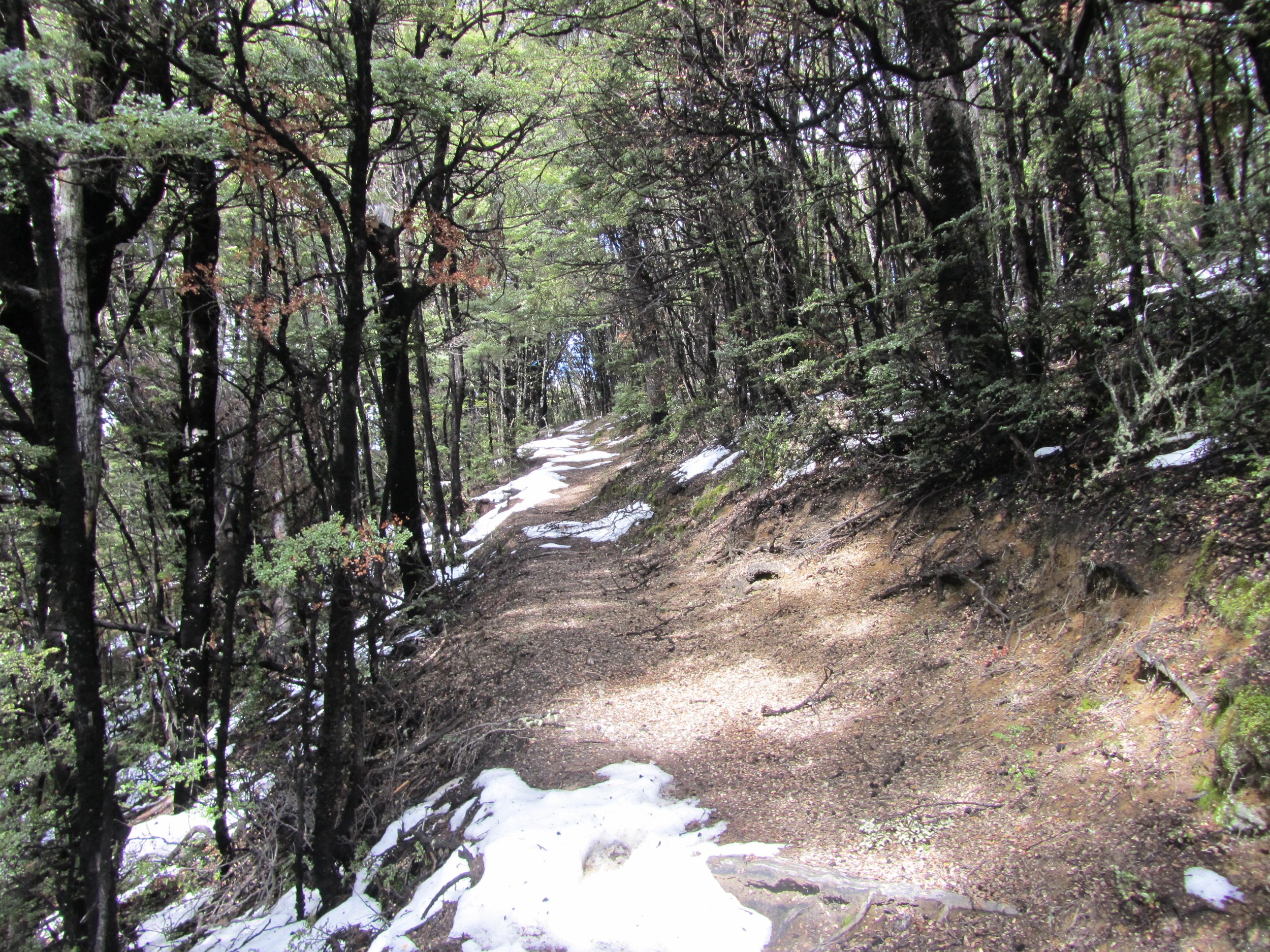 DFT Oct (12) - Copy.JPG