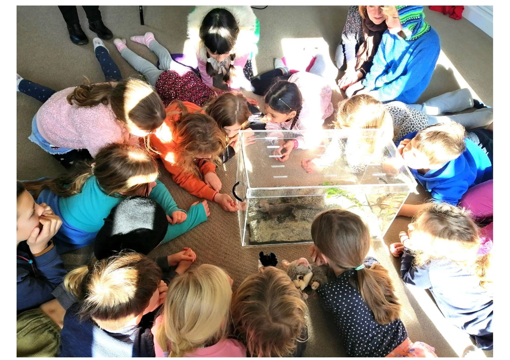 Children imagination academy 1.1 - Copy.jpg