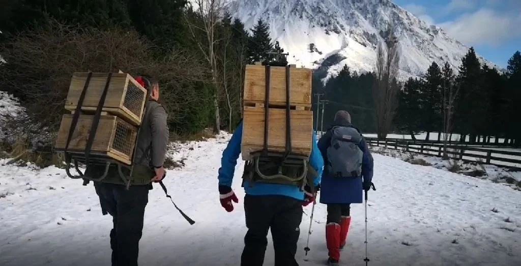 Tramping June 2019-Low Res.jpg