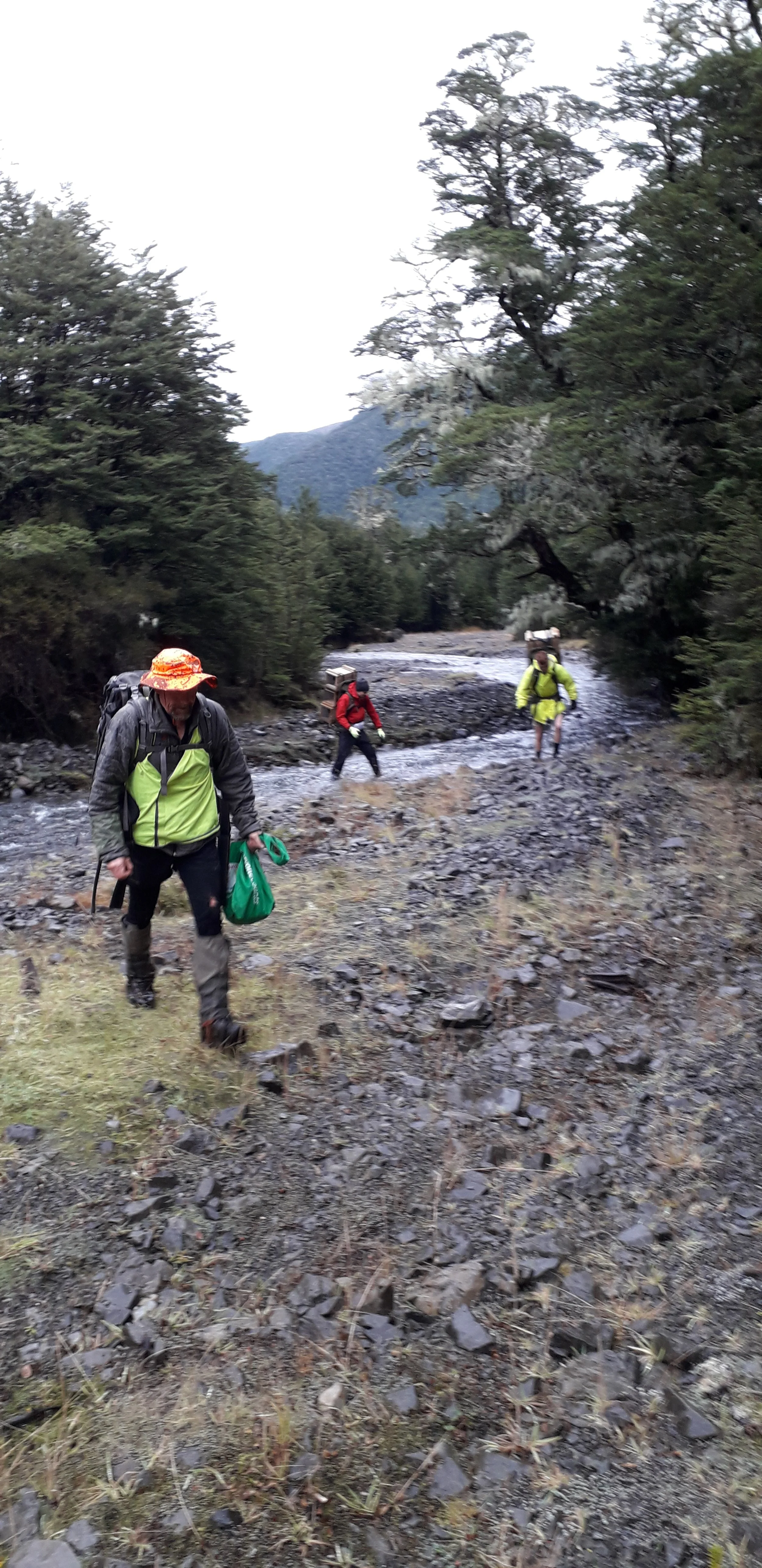 20210606_093428 (002).jpg