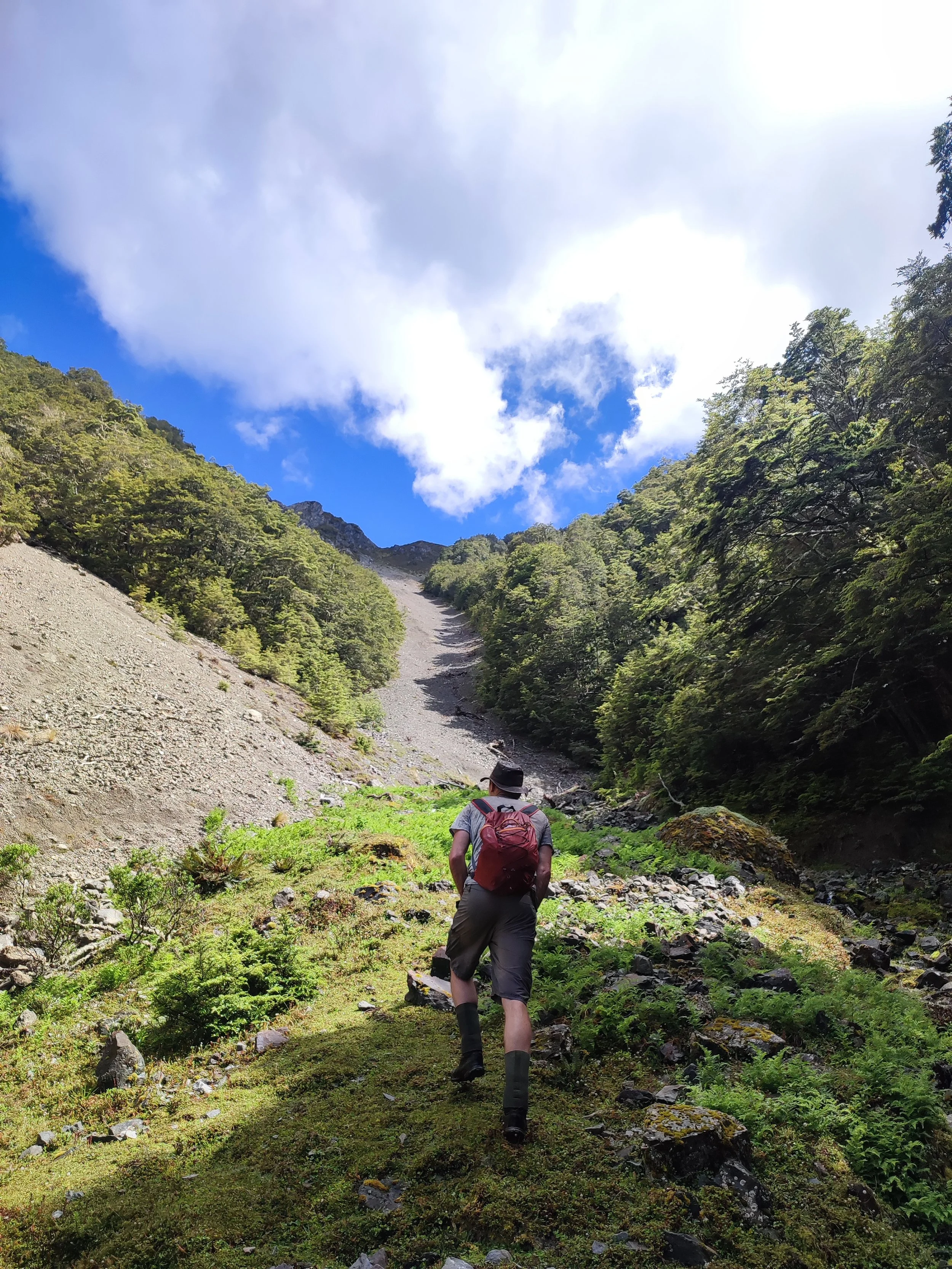 Dec 22 Carlyle trip scree slope - Copy.jpg