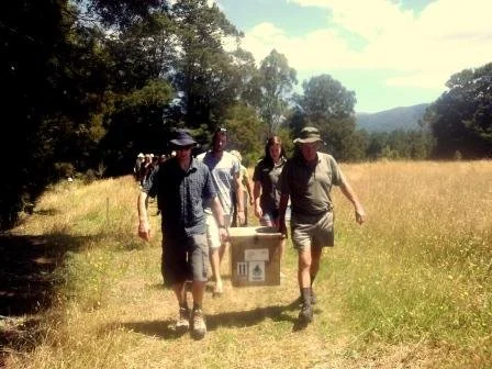 Walking to the release site.JPG