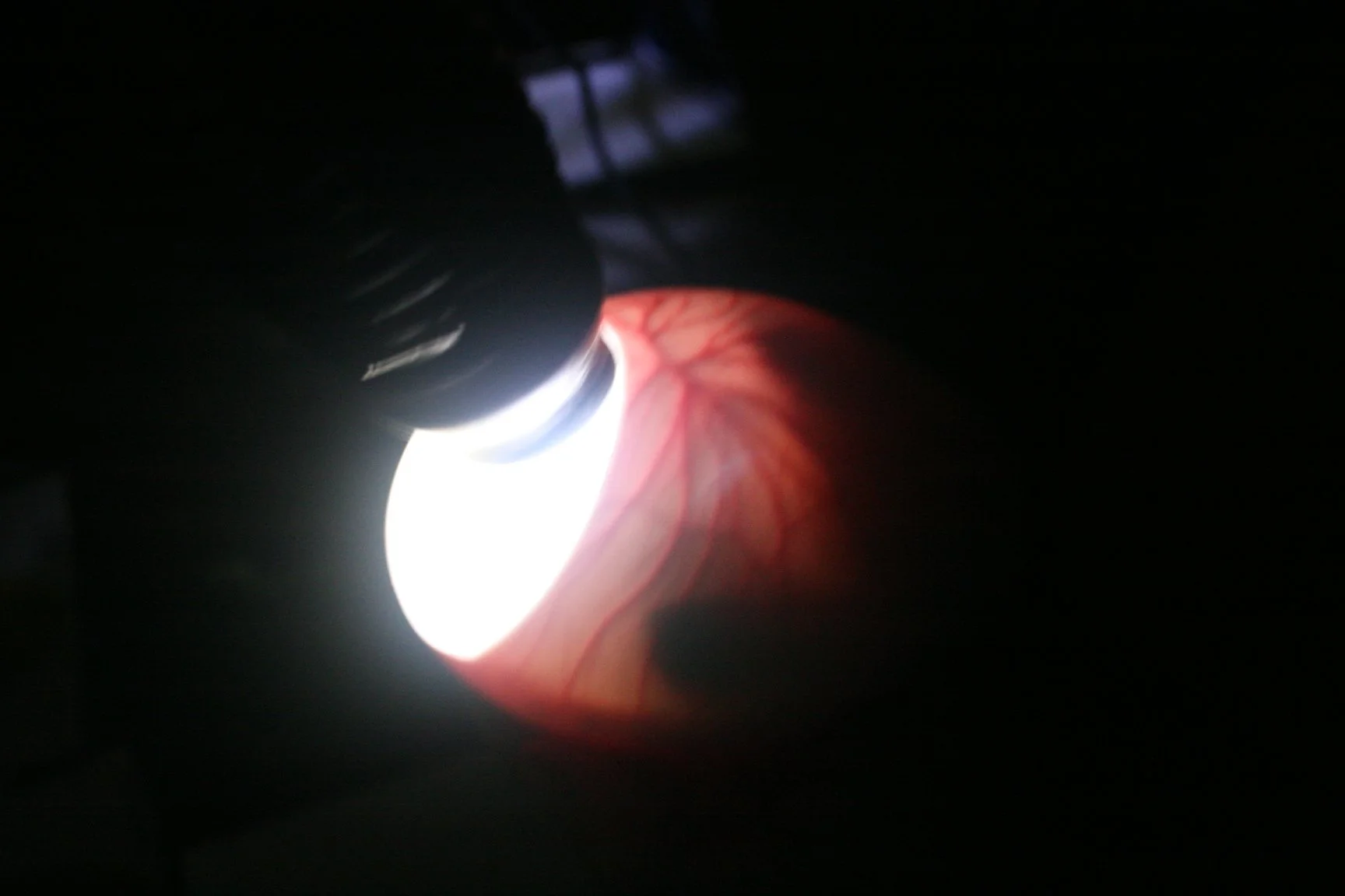 SH and FC working 021.jpg