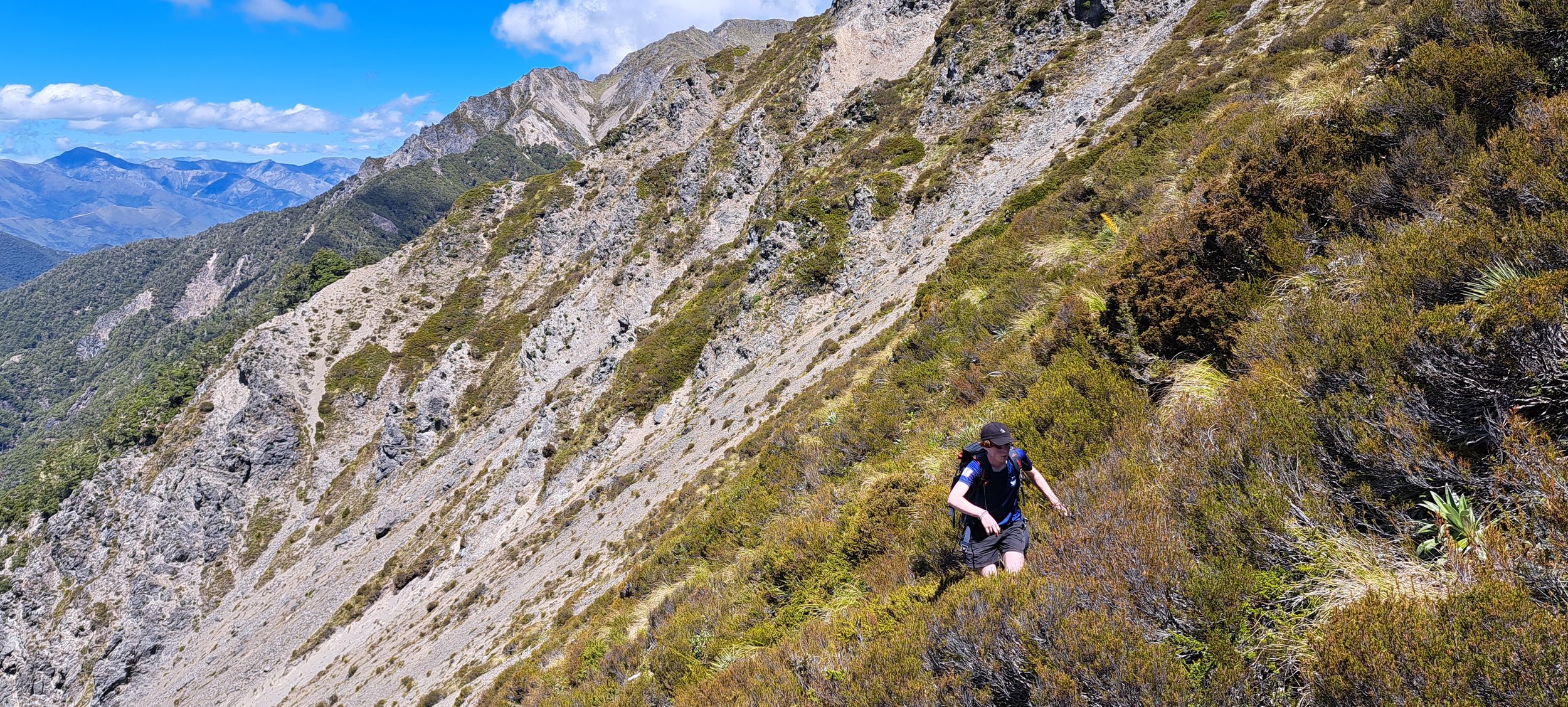 Joe Dec 22 Carlyle trip (2).jpg