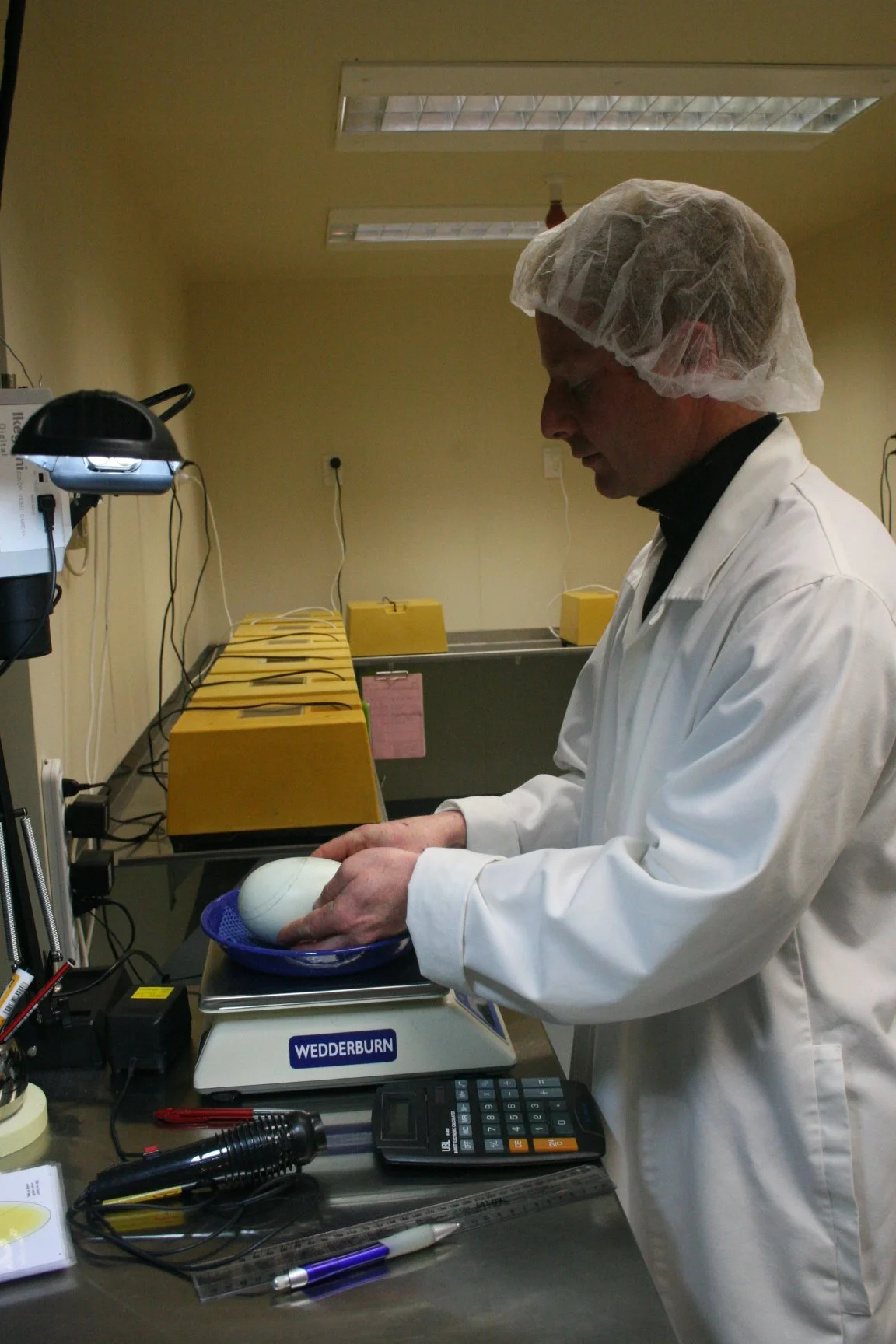 SH and FC working 009.jpg