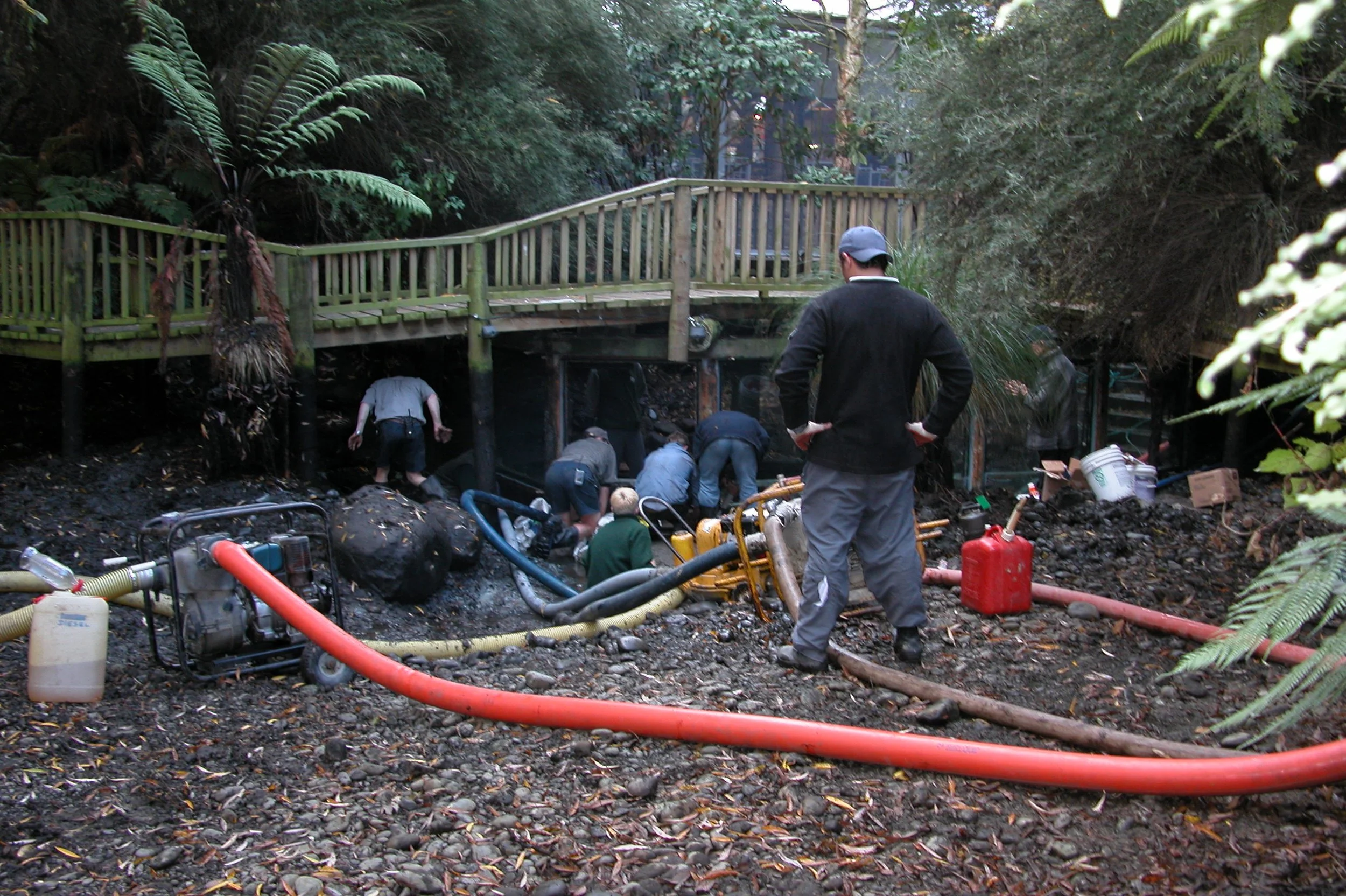 Trout Window June 04 011.jpg