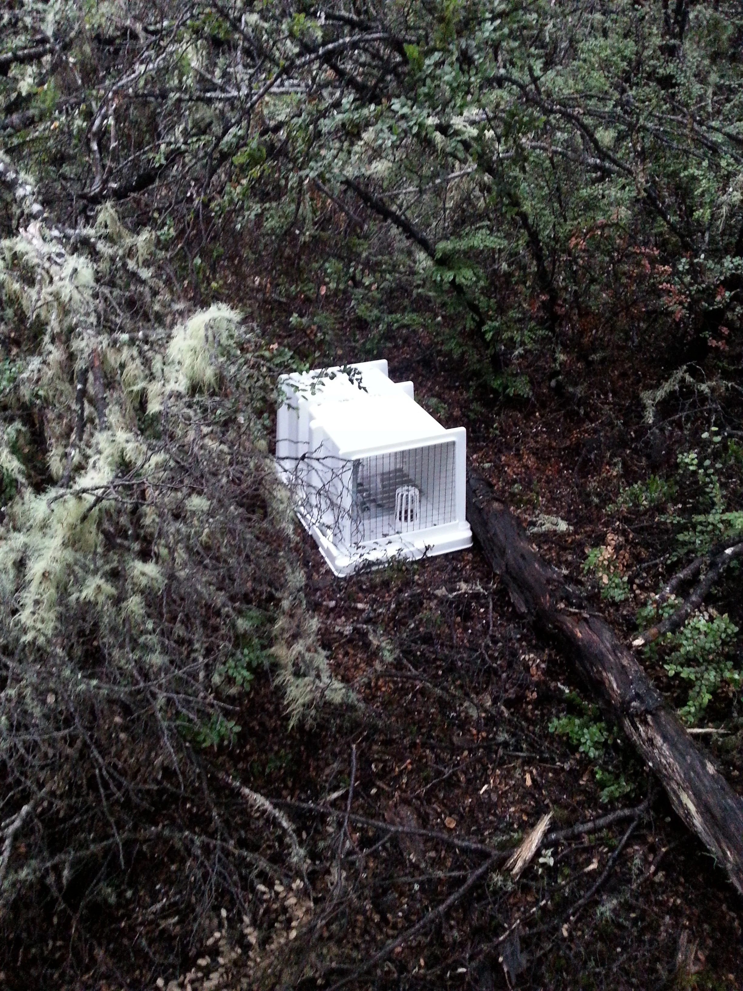 20180604_095453 - Copy.jpg