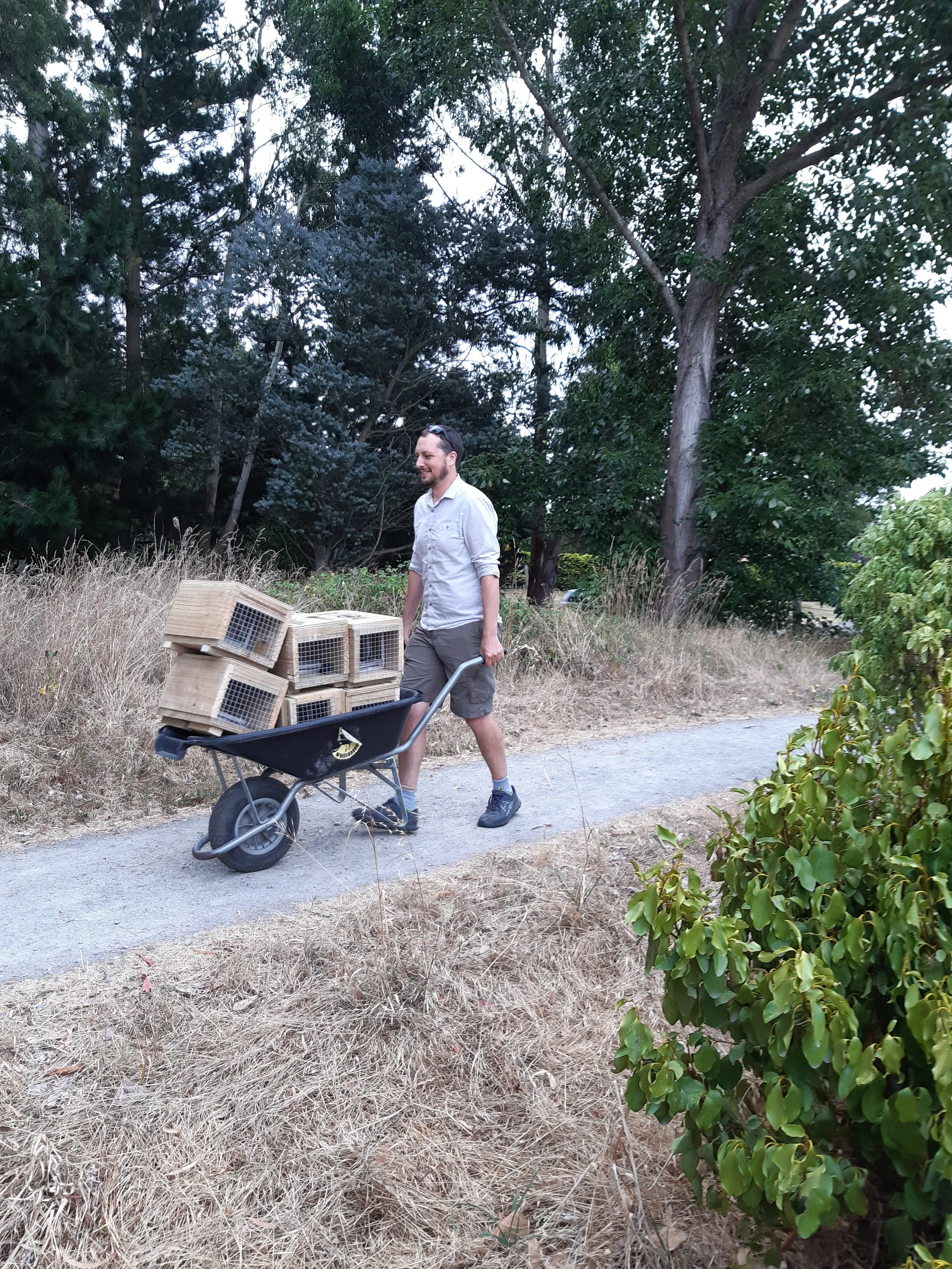 Styx Mill 4.2.20 trap carrying wheelbarrow.jpg