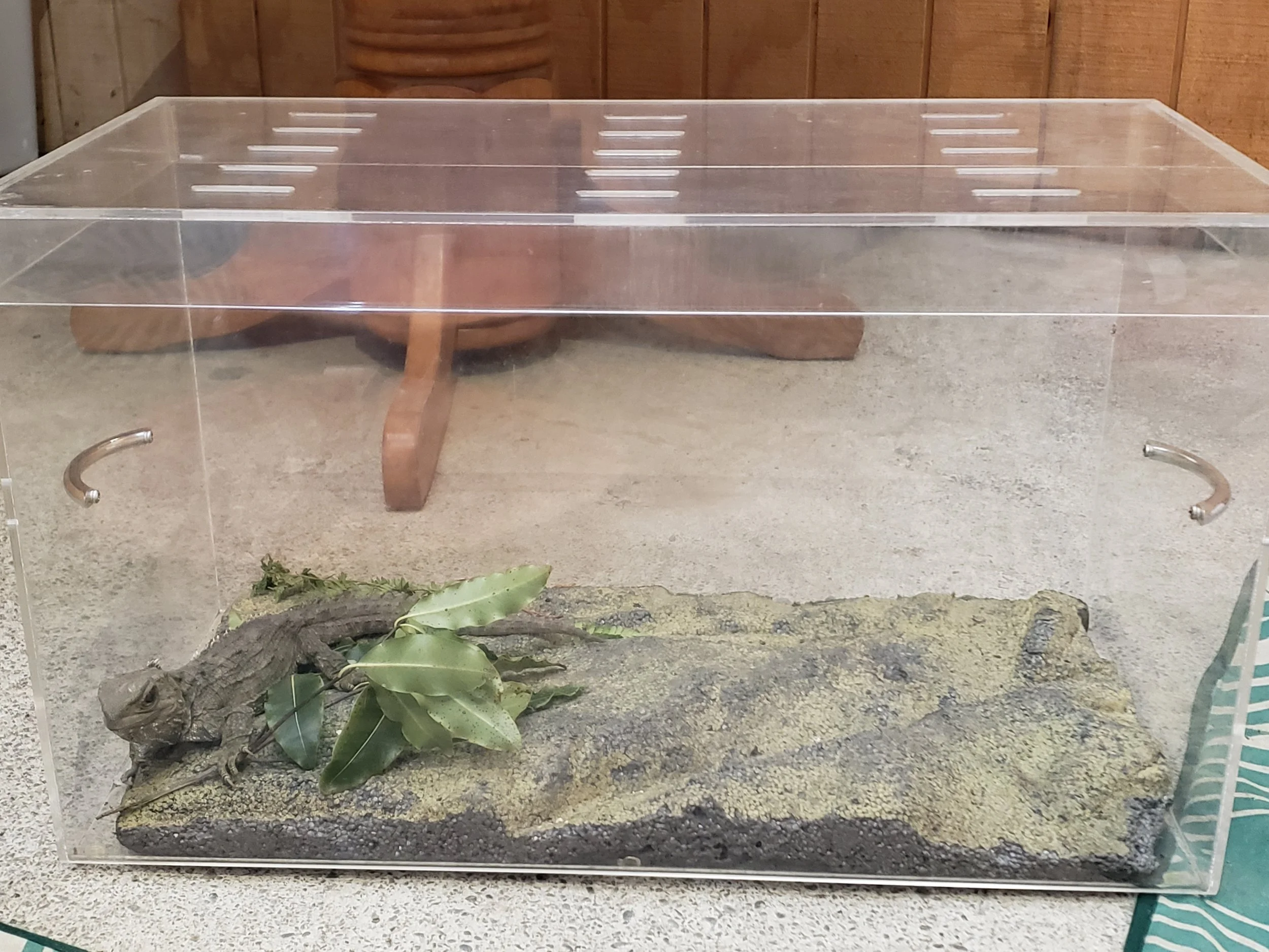 20200831_104912 - Copy.jpg