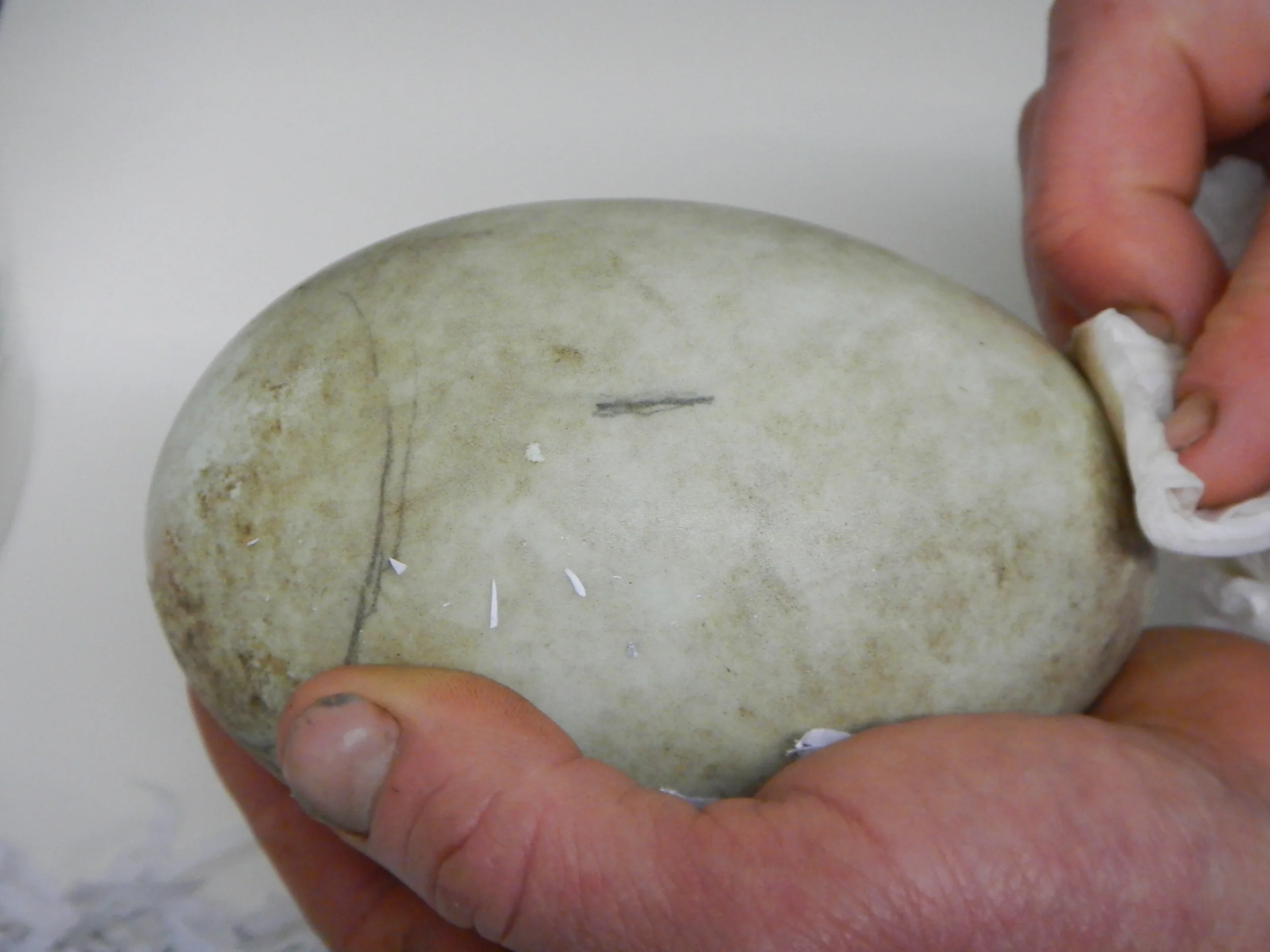 Mnt Leach, Mnt Watson & Wilowbank - Kiwi Egg delivery 023.JPG