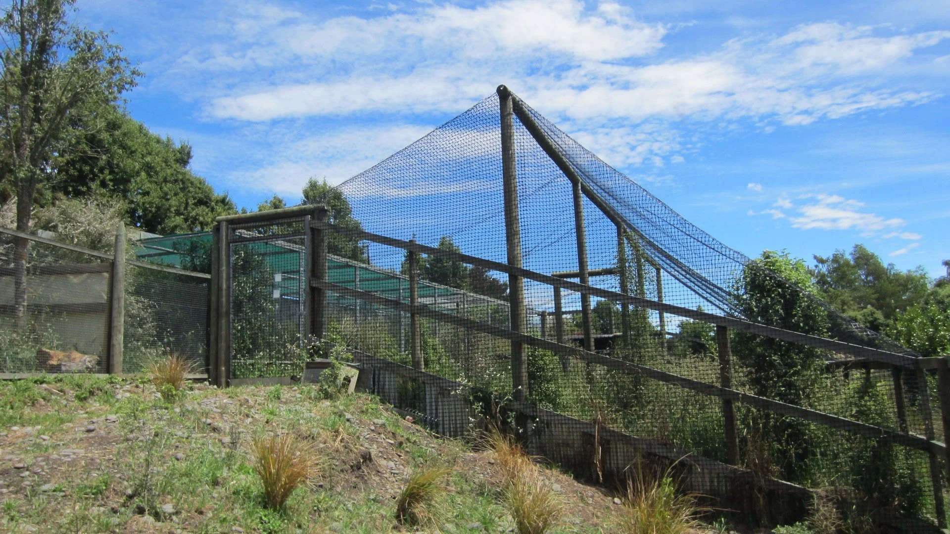 Predator free pens 1 (3).JPG