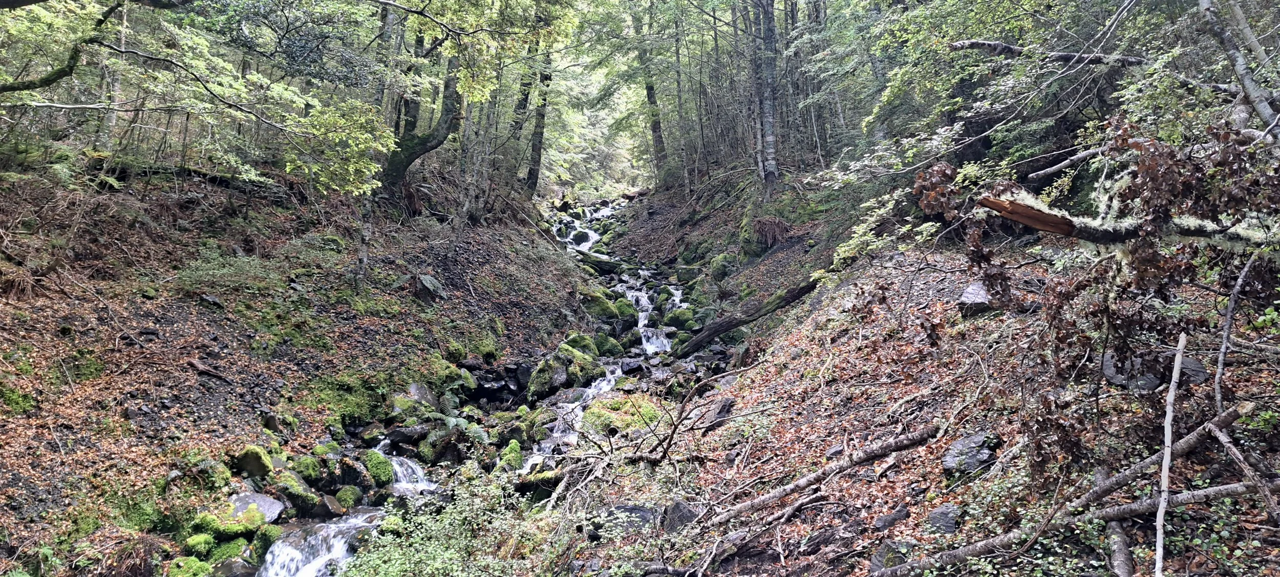 Dec 22 Carlyle trip.jpg