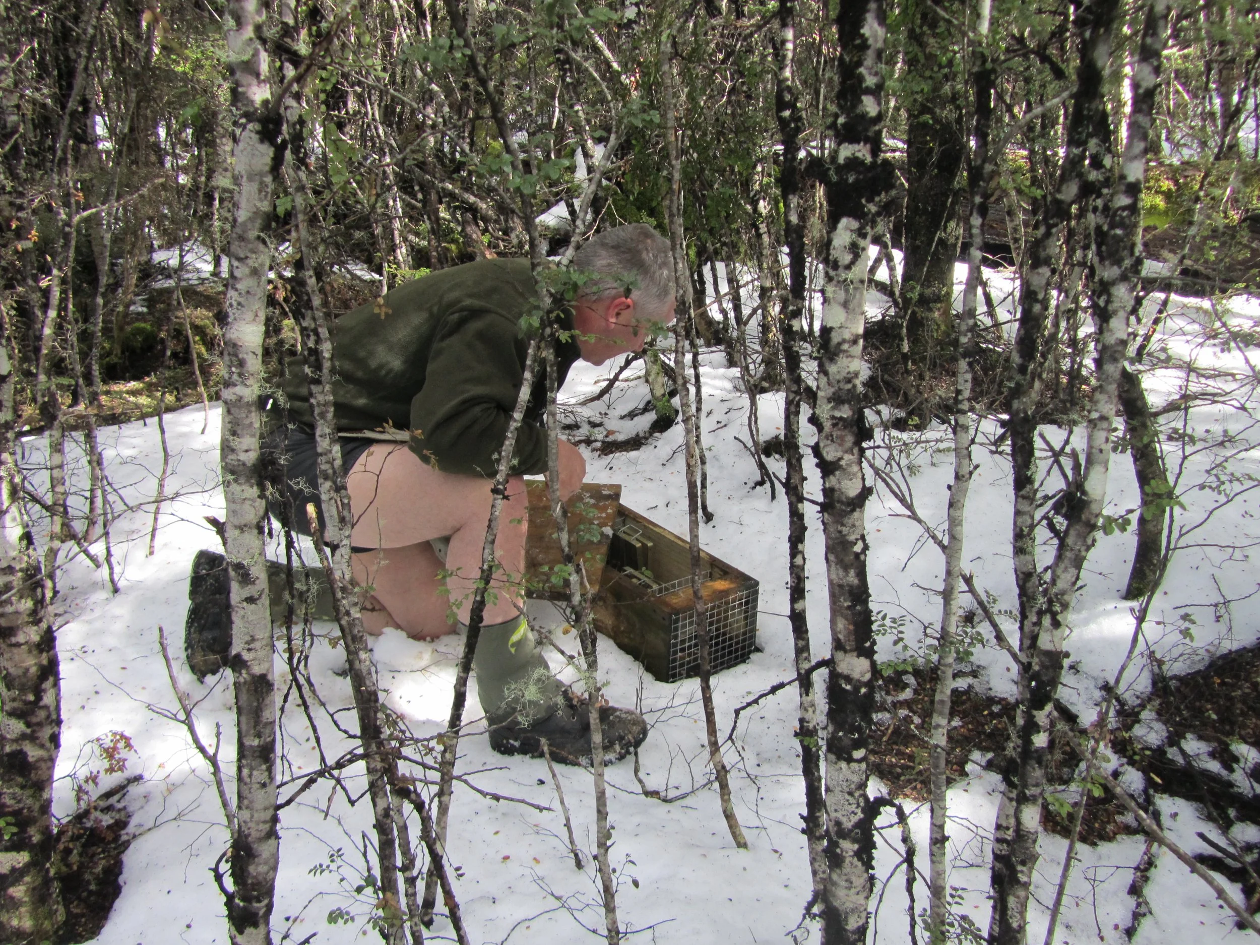 DFT Oct (22) - Copy.JPG