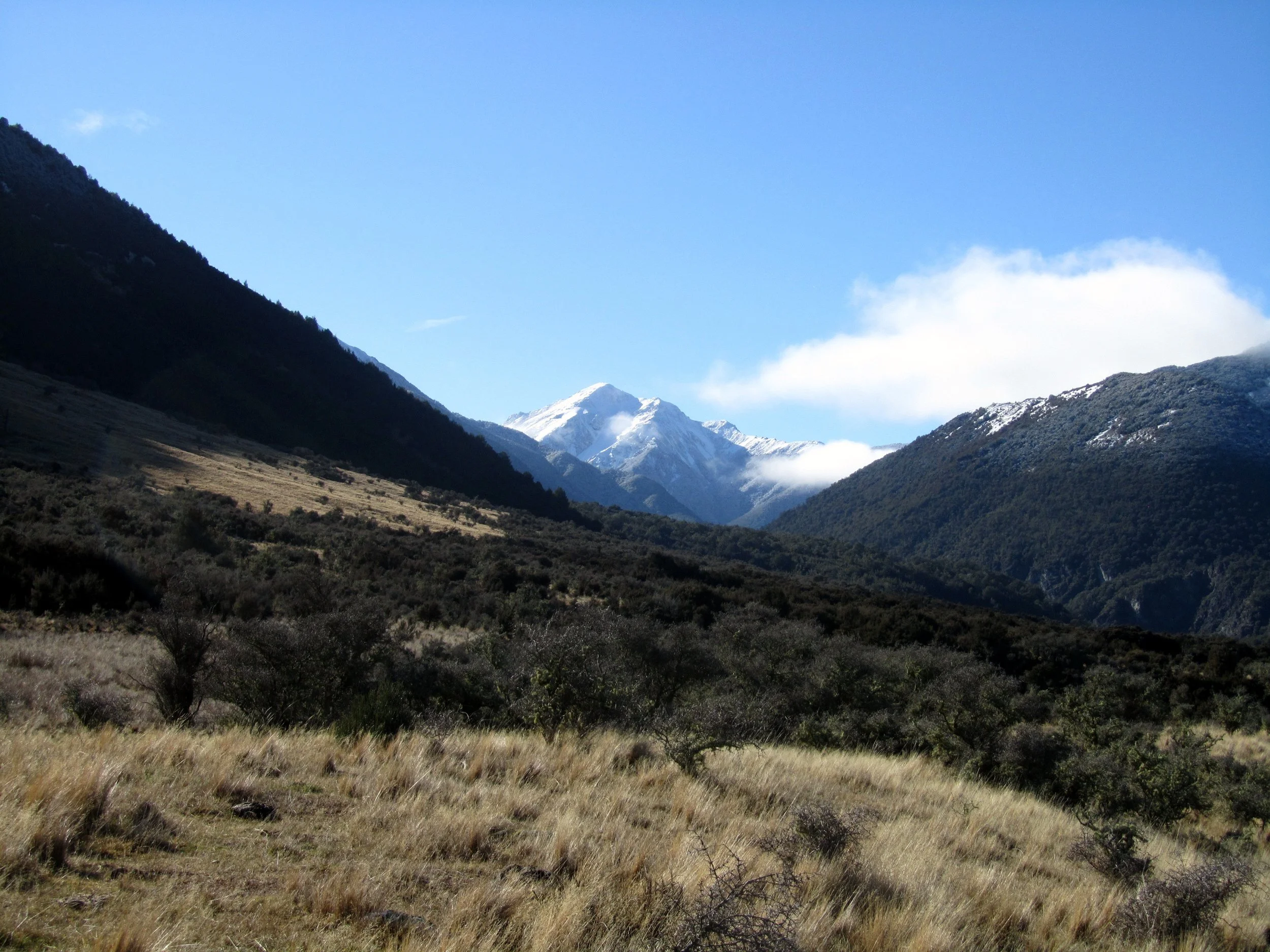 View of Carlyle Valley 1.jpg