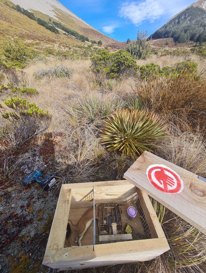 Cass Valley 2023.png