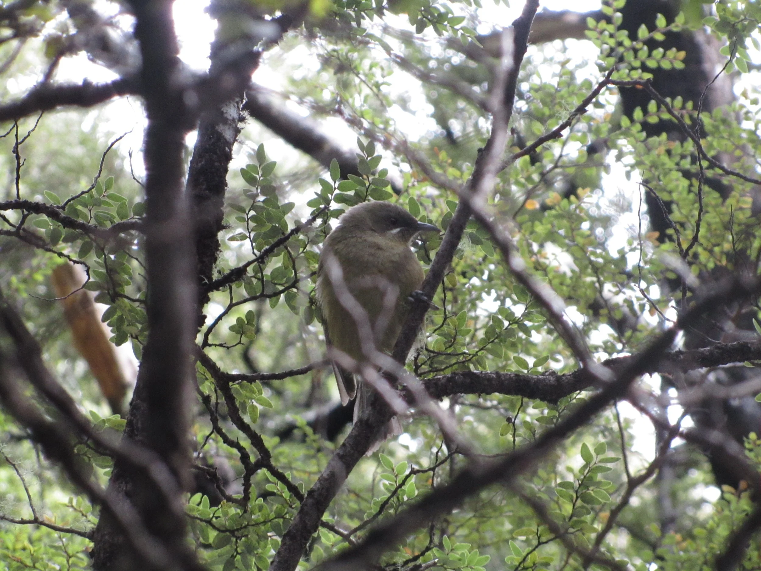 DFT Oct (23) - Copy.JPG