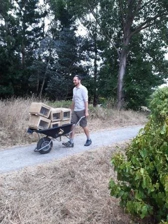 FB Styx Mill 4.2.20 trap carrying wheelbarrow.jpg