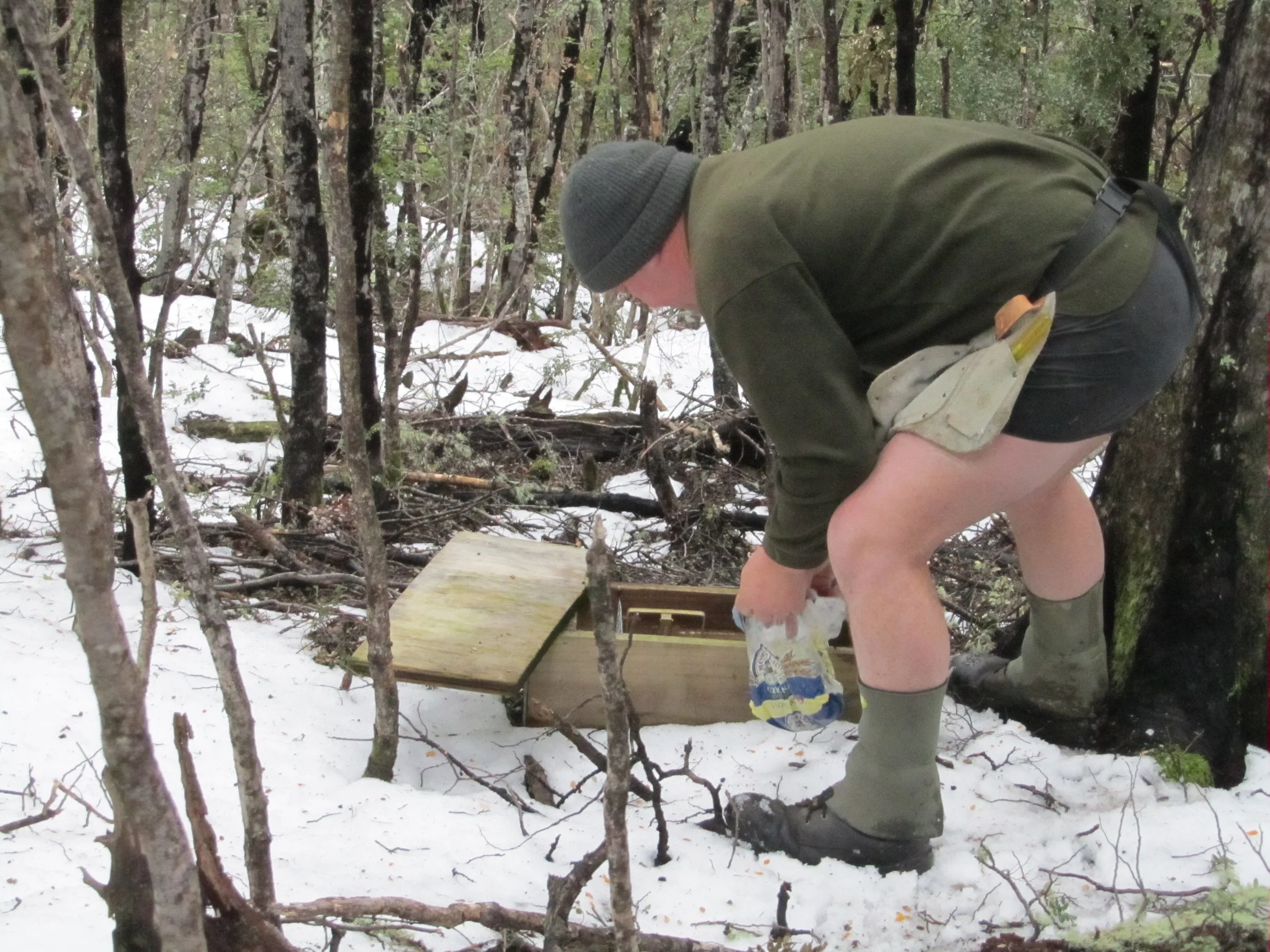 DFT Oct (3) - Copy.JPG