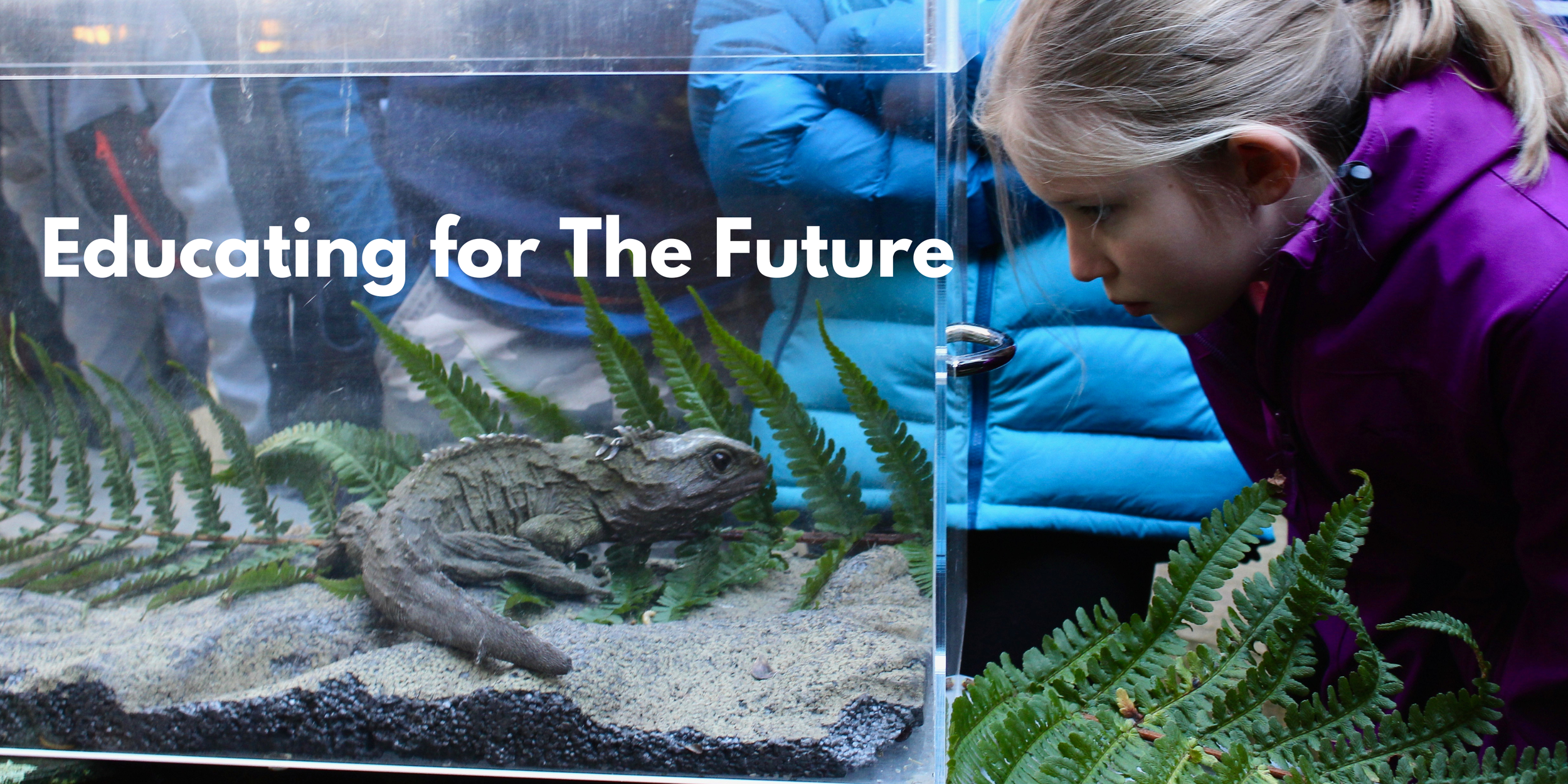 Protecting Our Wilidlife (2).png