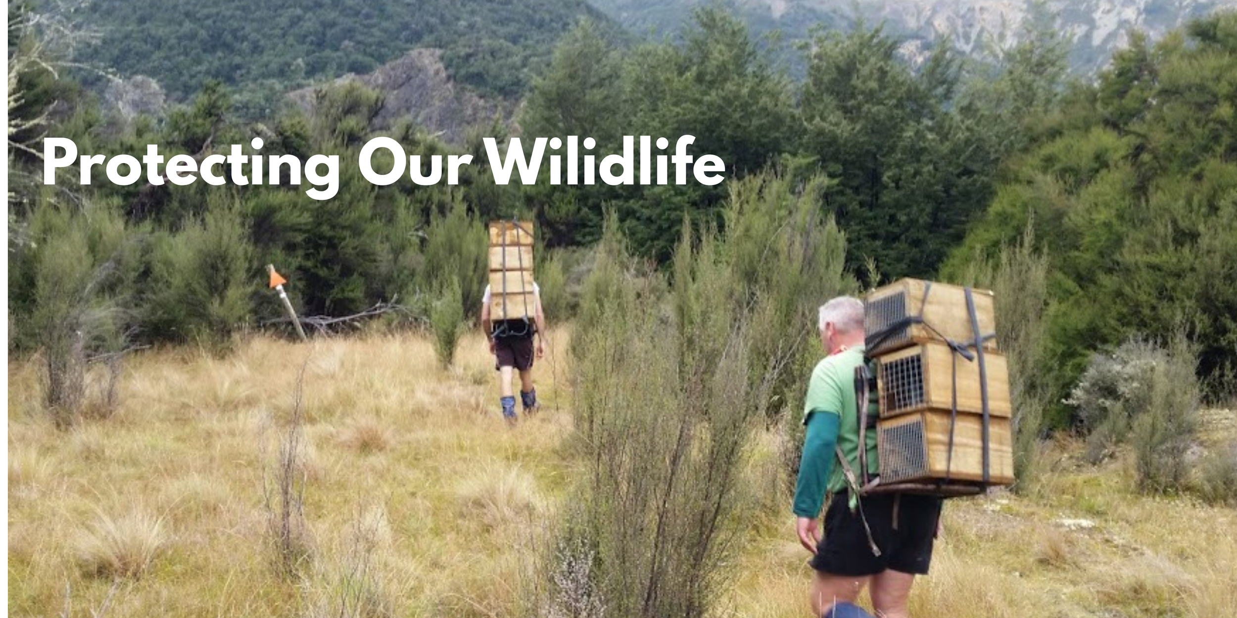 Protecting Our Wilidlife.png