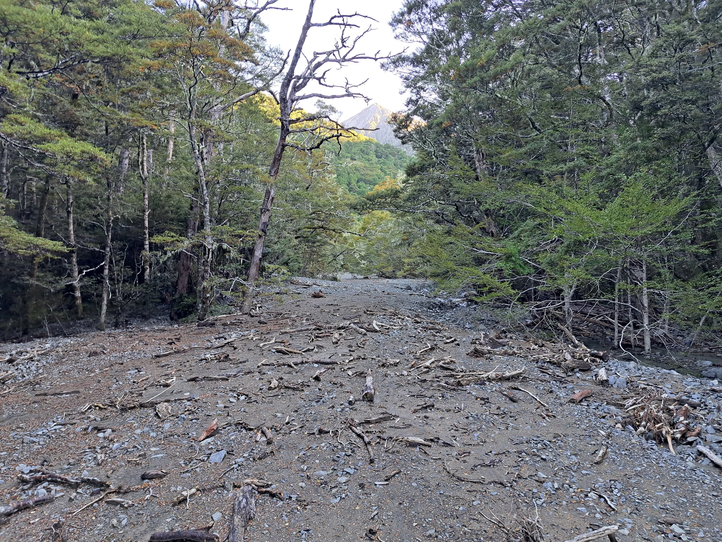 Carlyle river 2.jpg