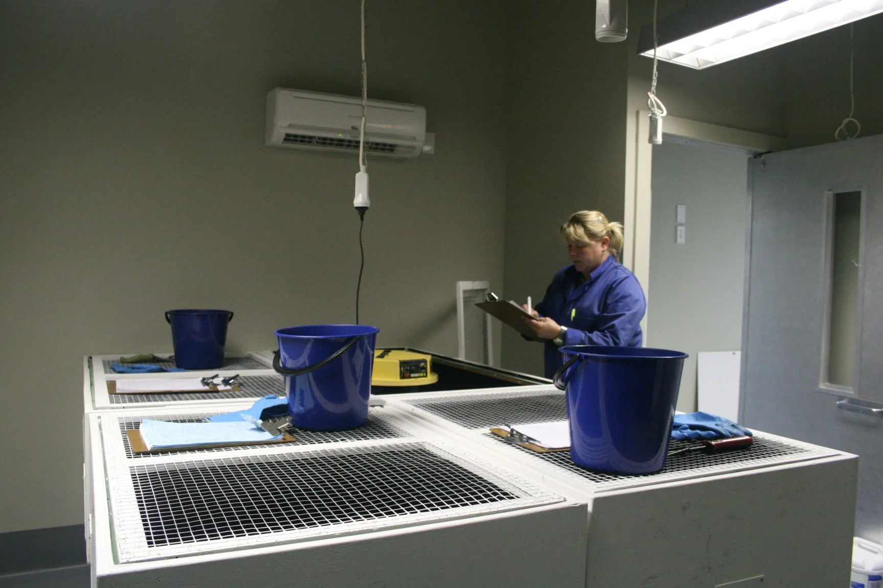 SH and FC working 004.jpg