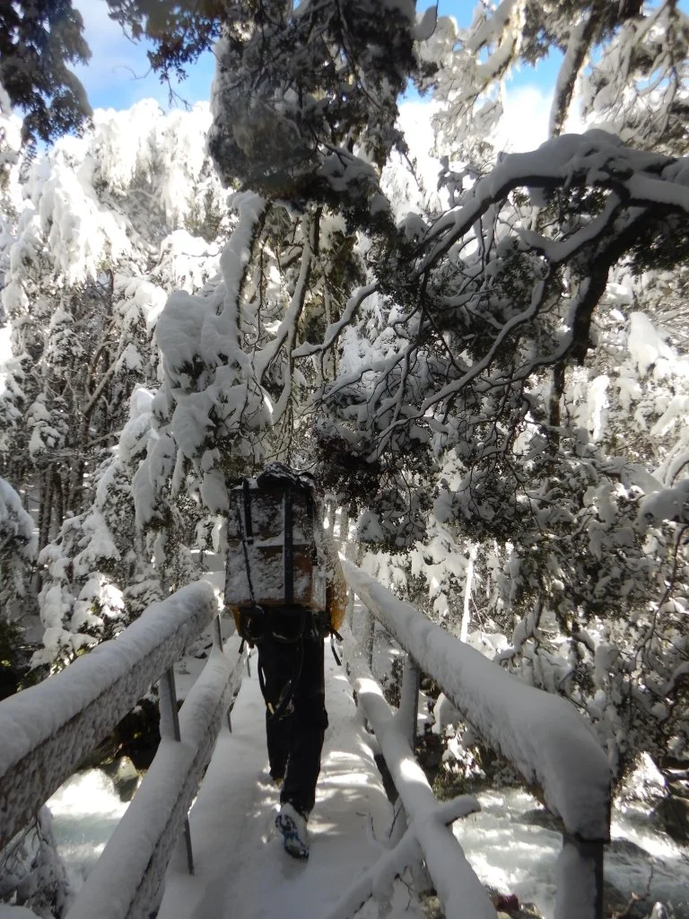 DSCN2990-Low Res.jpg