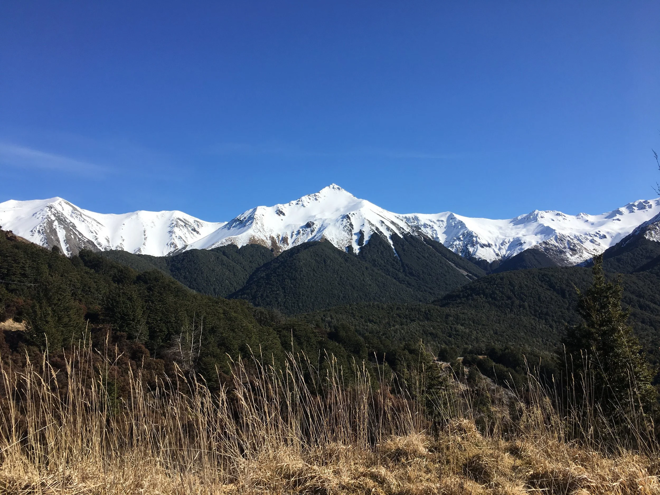 Craigieburn 26.8.2018 (1) - Copy.jpg