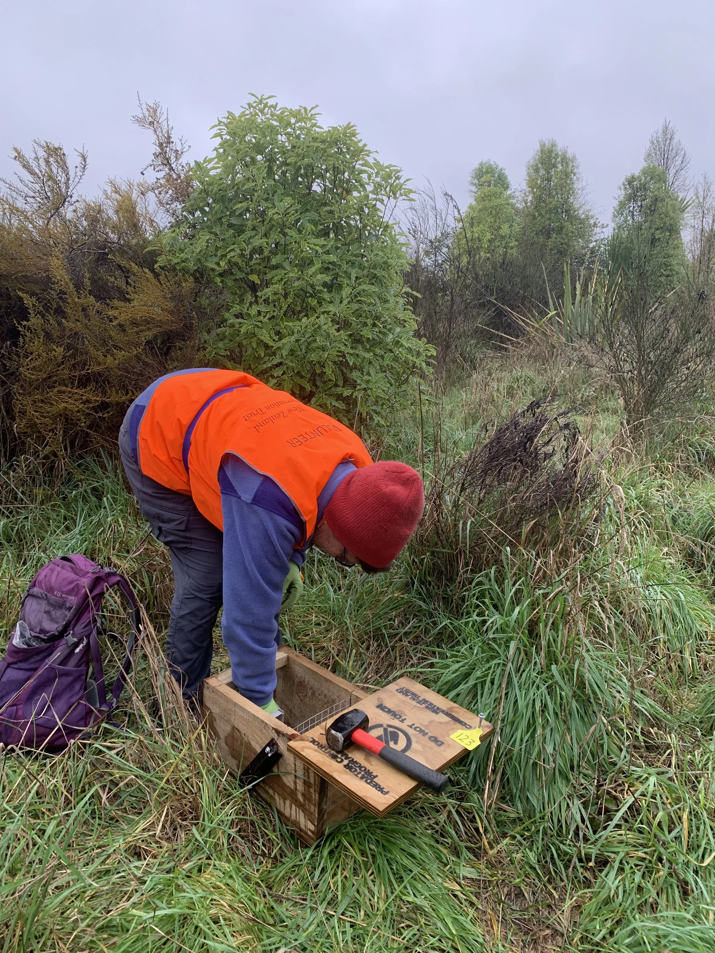 Robyn (1) 28.6.20.jpg