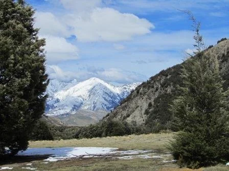 DFT Oct (30) - Copy - Copy.JPG