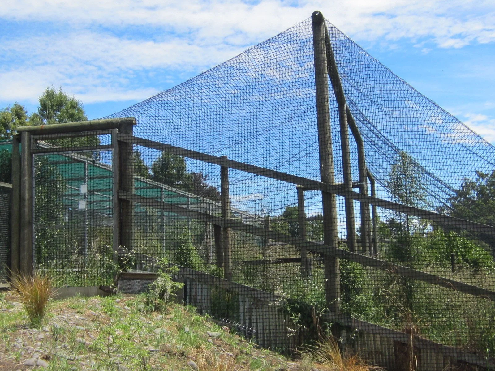 Predator free pens 1 (5).JPG