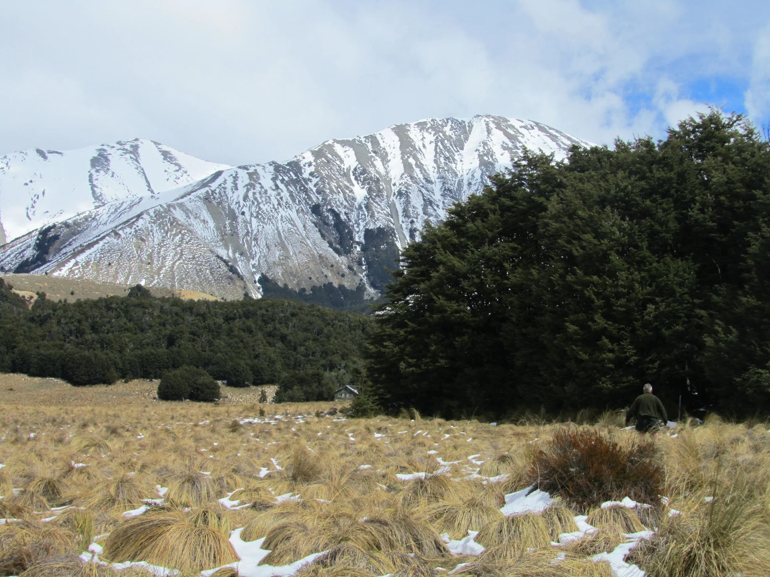 DFT Oct (27) - Copy.JPG