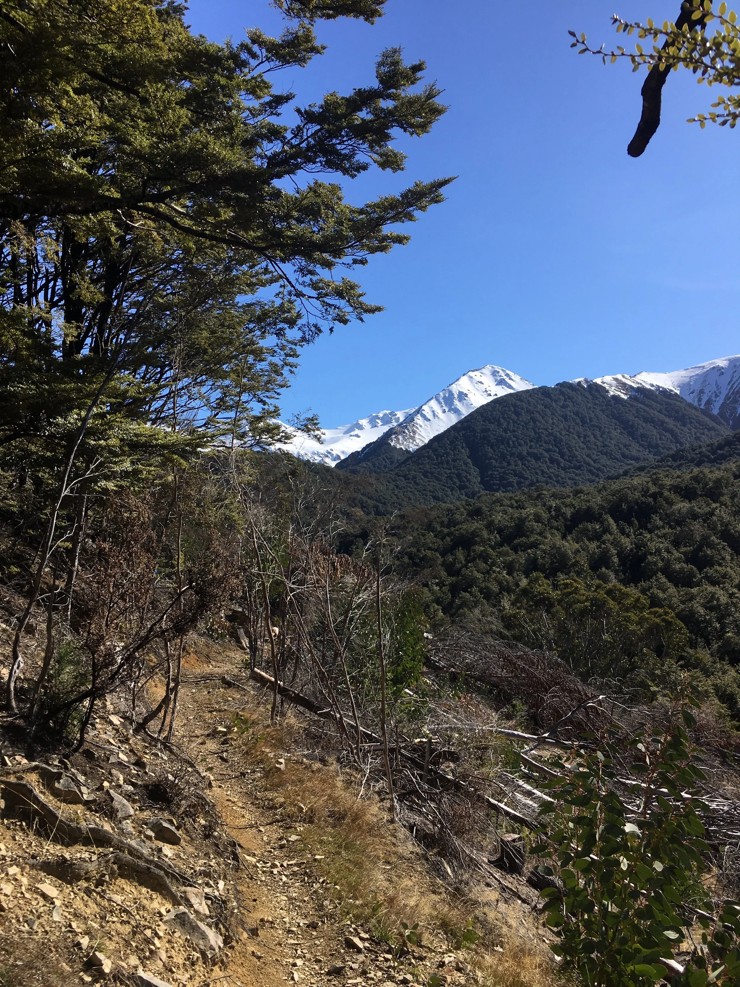 Craigieburn 26.8.2018 (2) - Copy.jpg