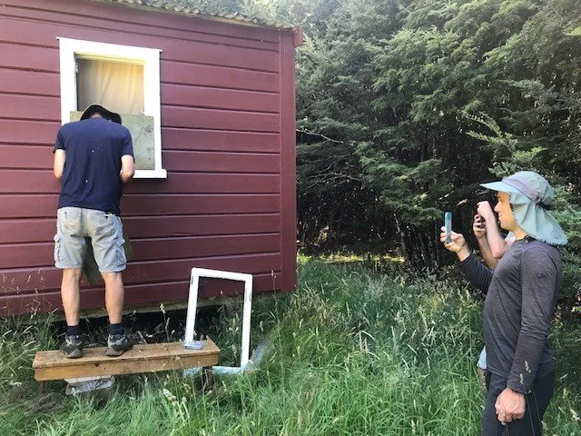 Carlyle -Fixing window Jan 2022.jpg