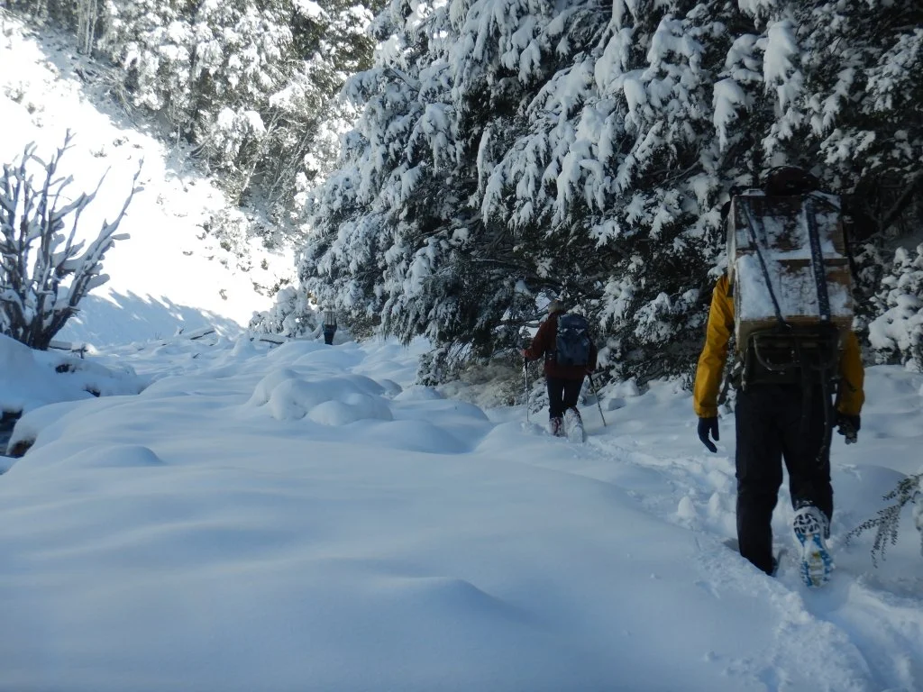 DSCN2998-Low Res.jpg