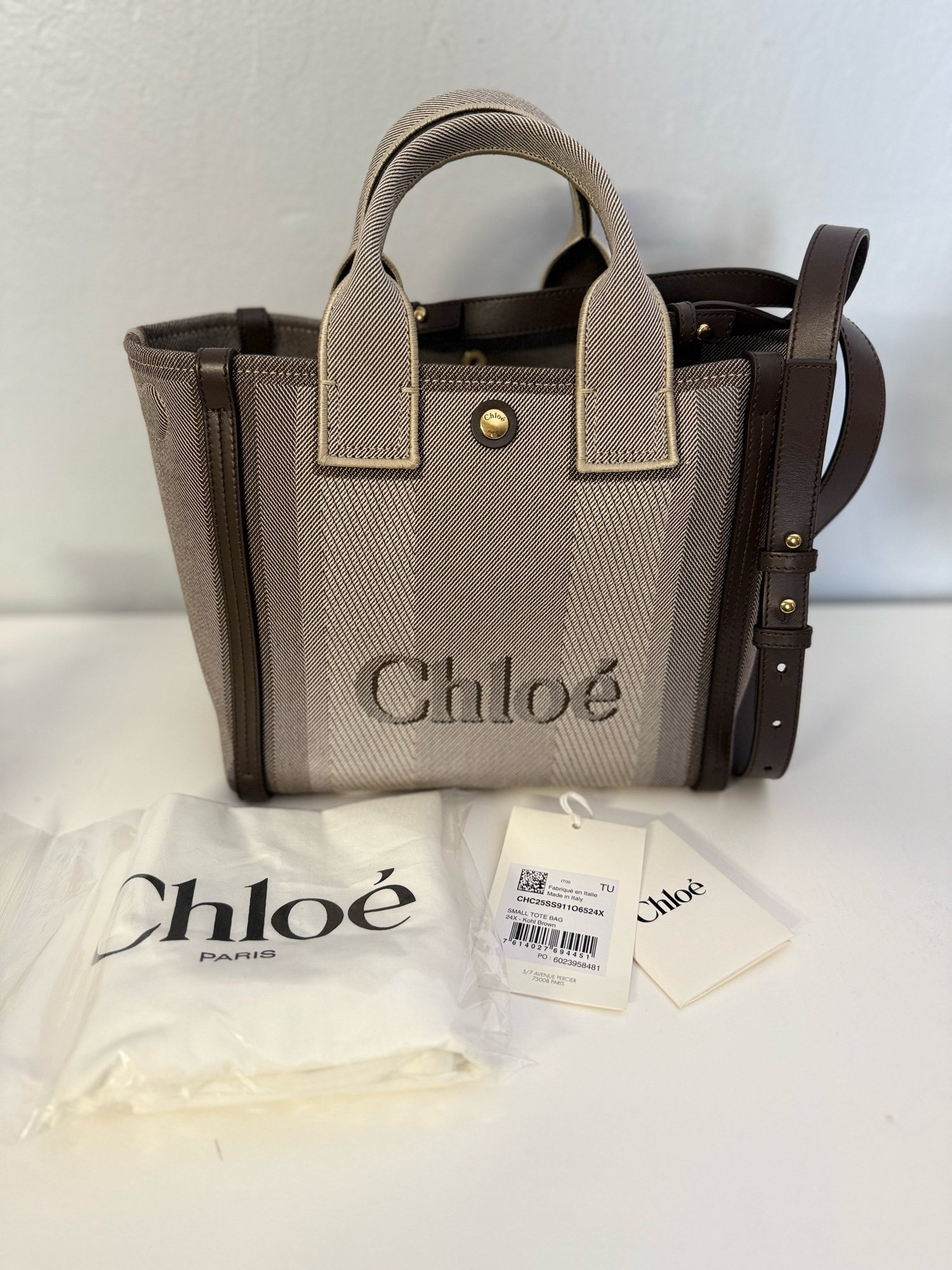 Chloé Carry Tote Bag Small in Canvas