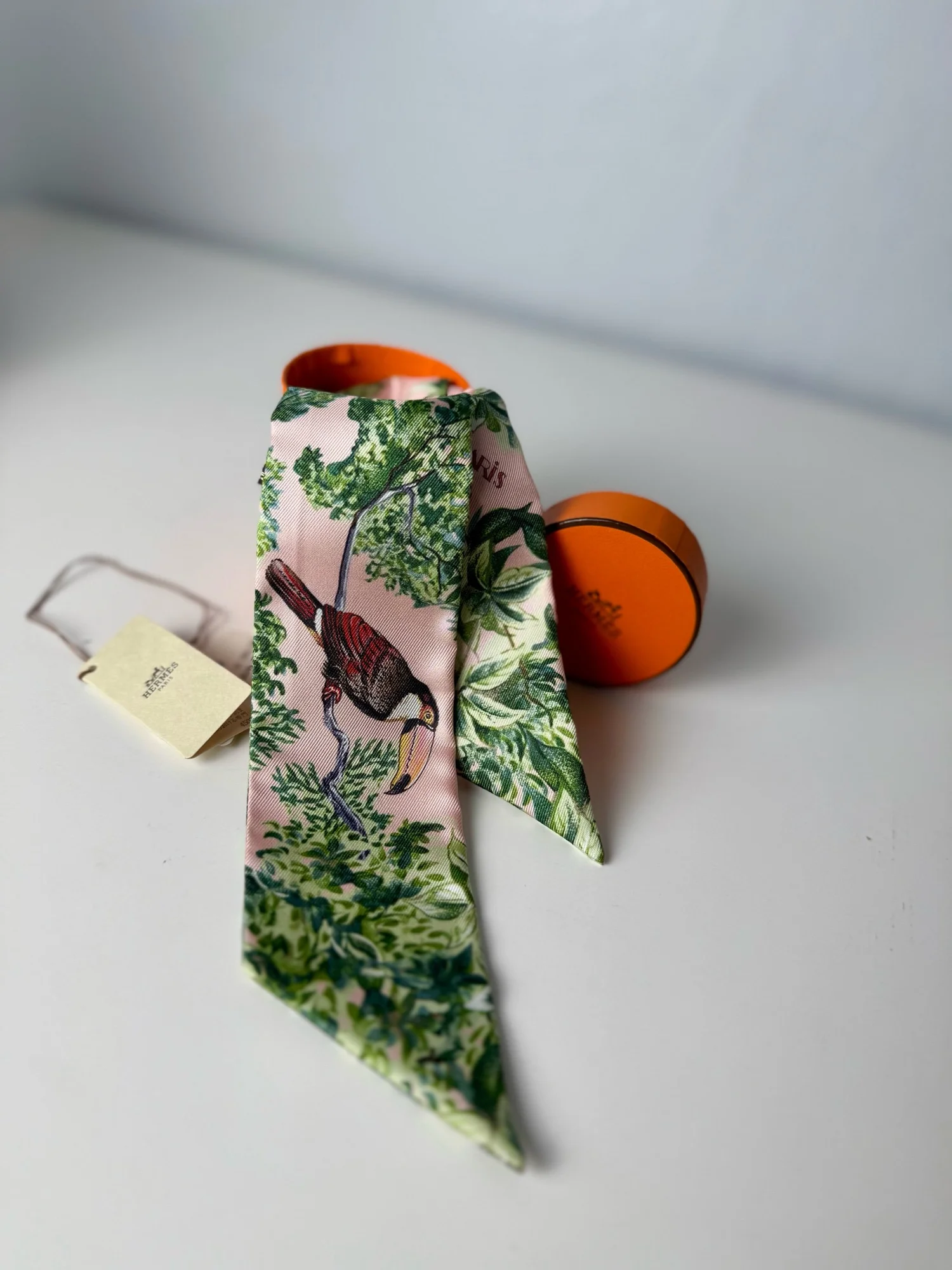 Hermès Equateur Silk Twilly Scarf