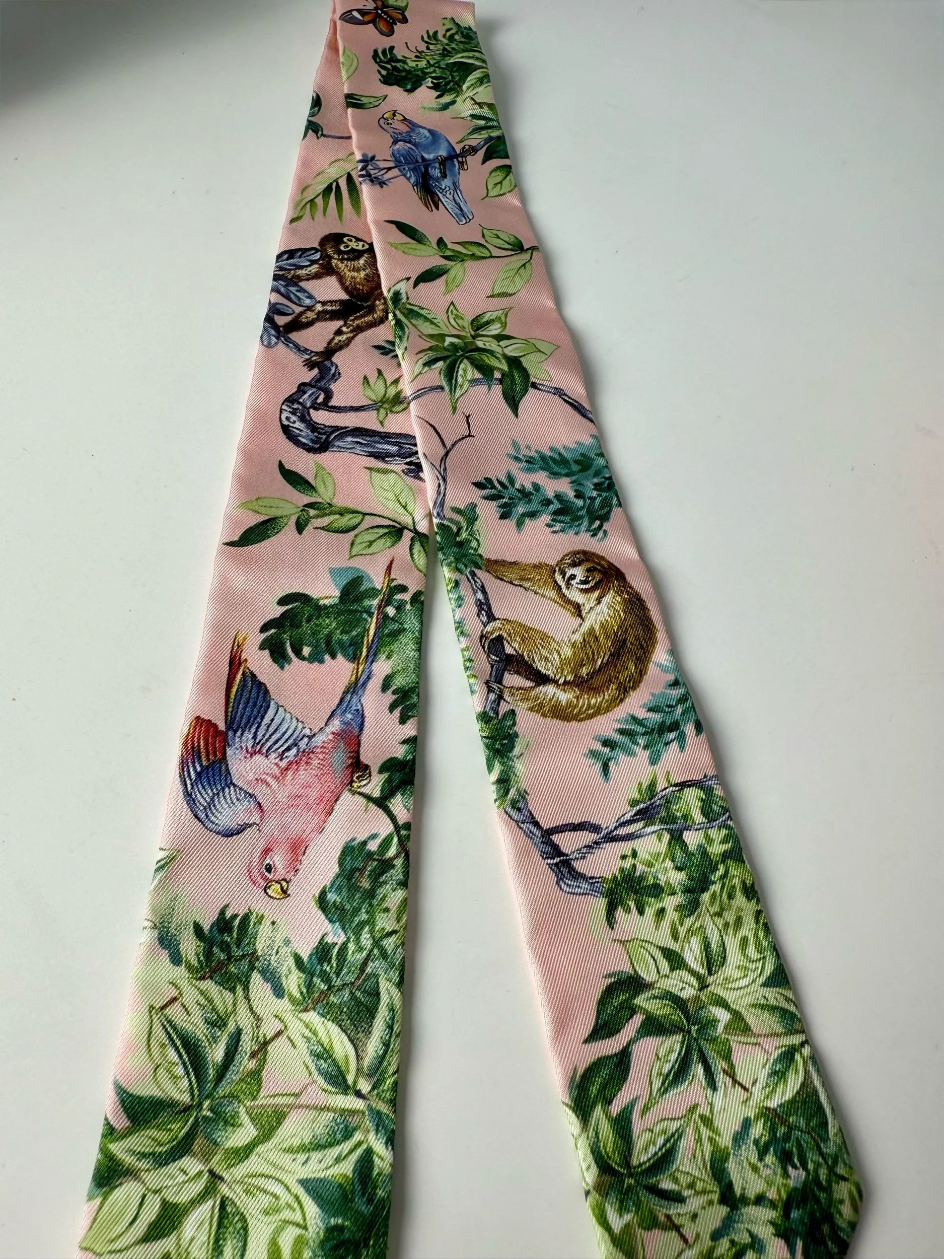 Hermès Equateur Silk Twilly Scarf — image 3