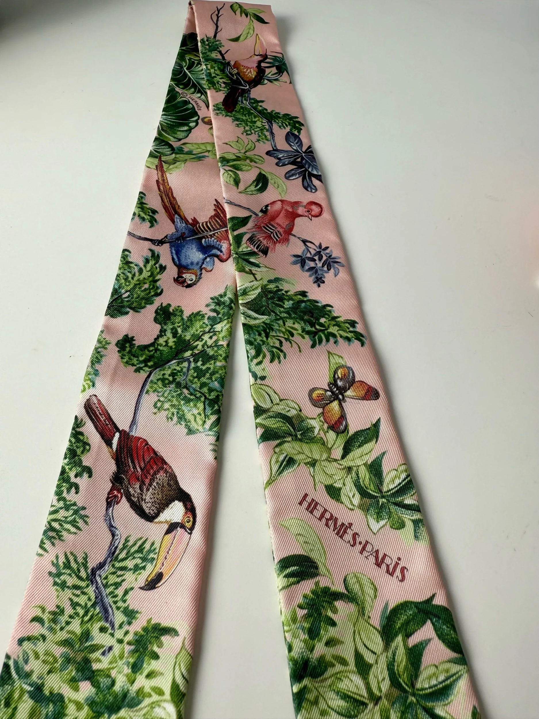 Hermès Equateur Silk Twilly Scarf — image 4