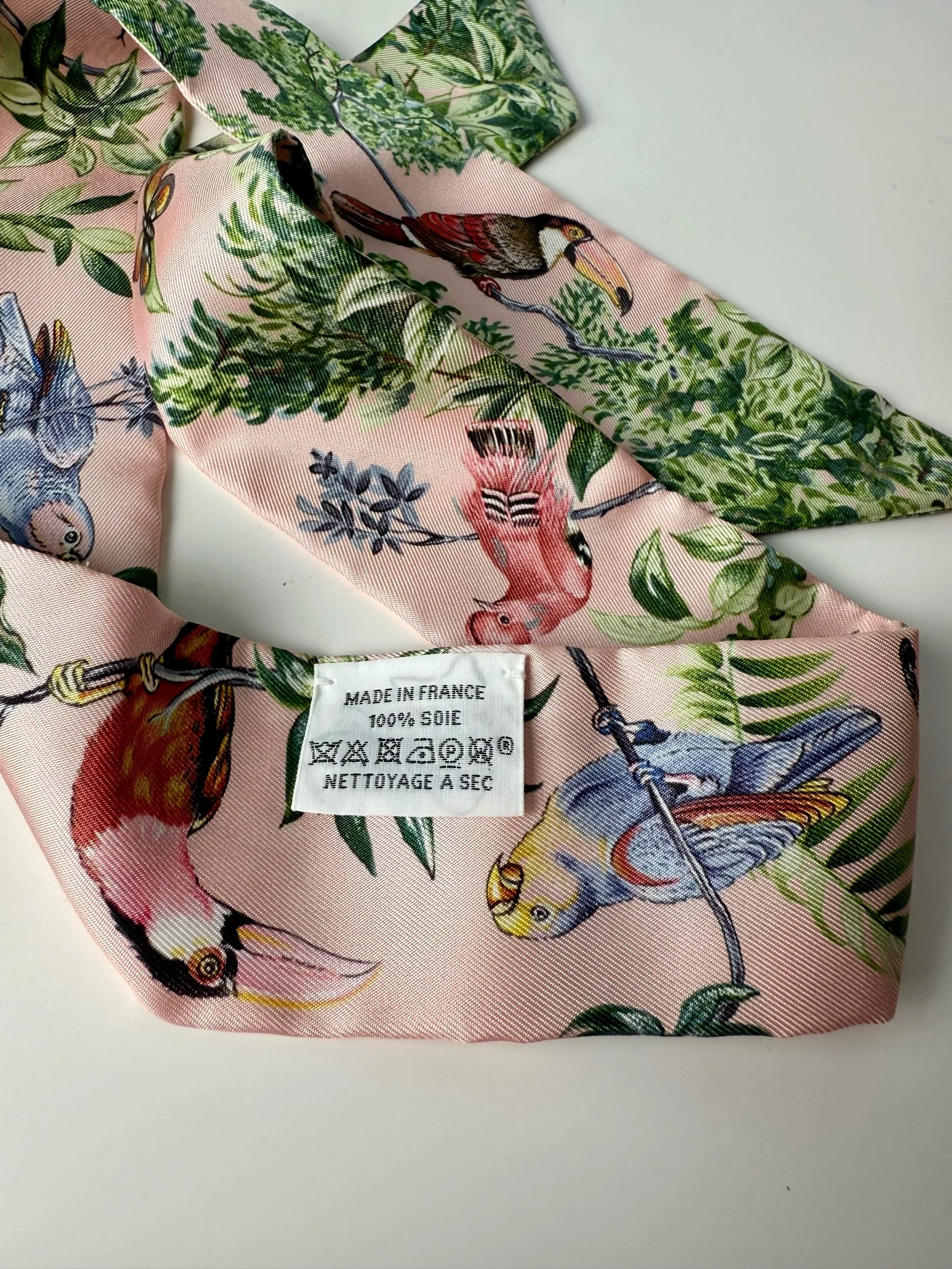 Hermès Equateur Silk Twilly Scarf — image 5
