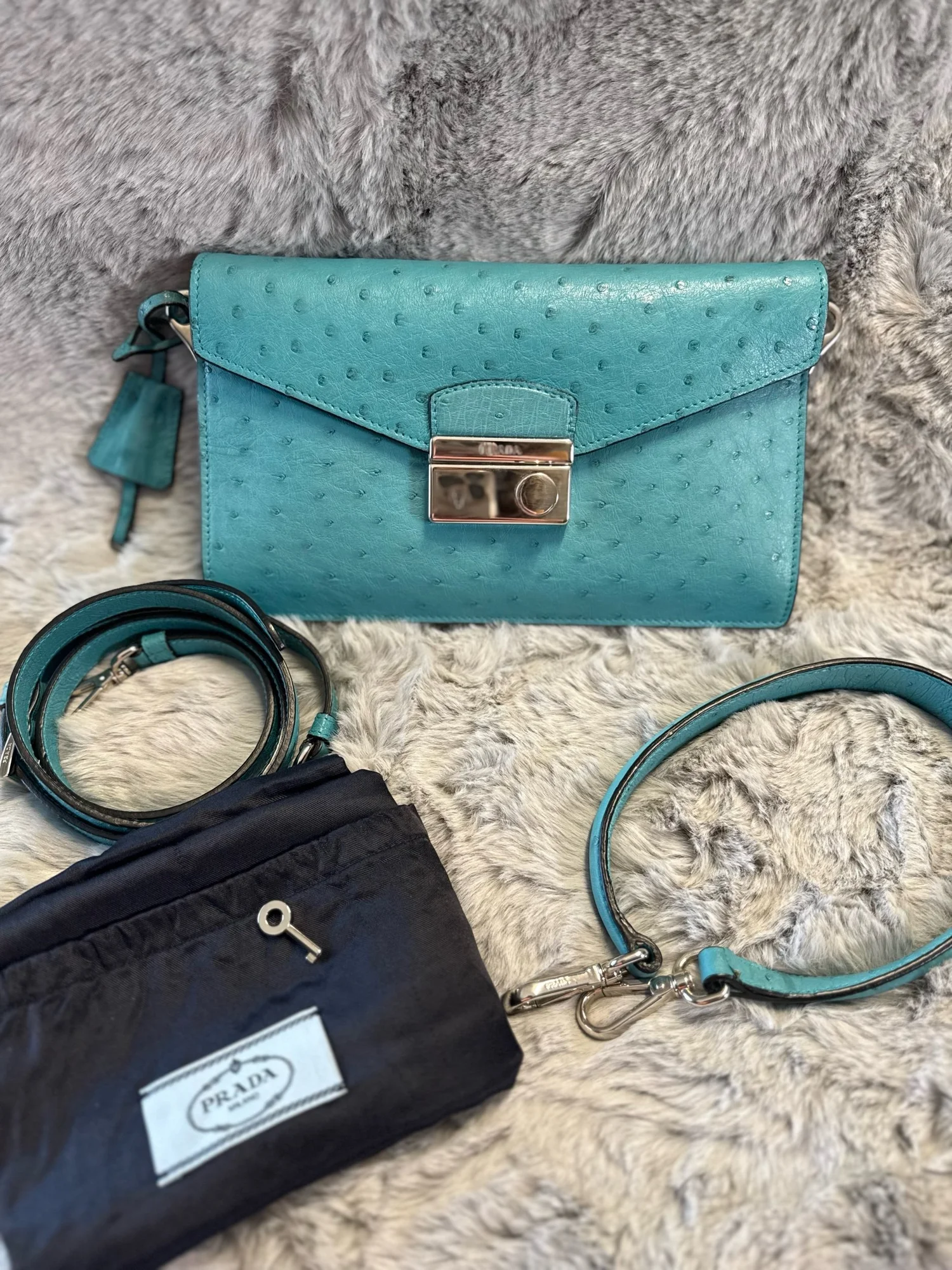Prada Ostrich Handbag