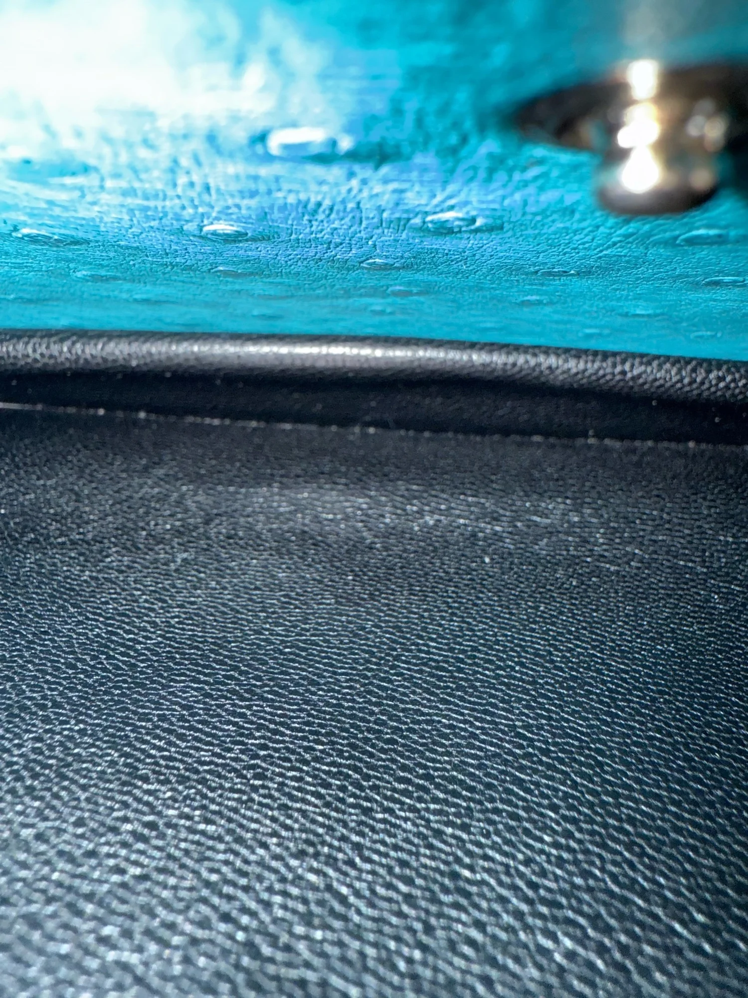 Prada Ostrich Handbag