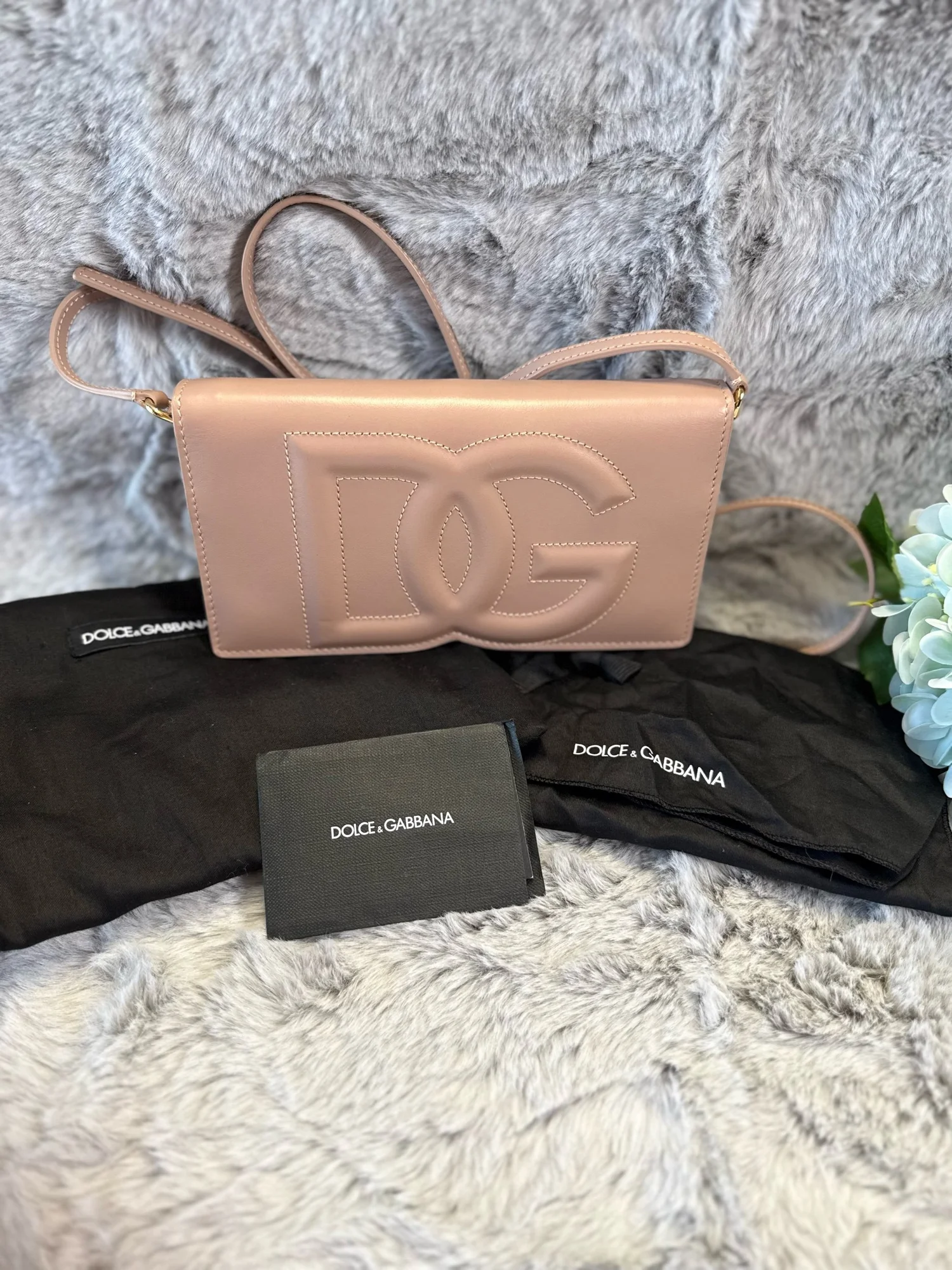 Dolce & Gabbana Logo Leather Phone Bag