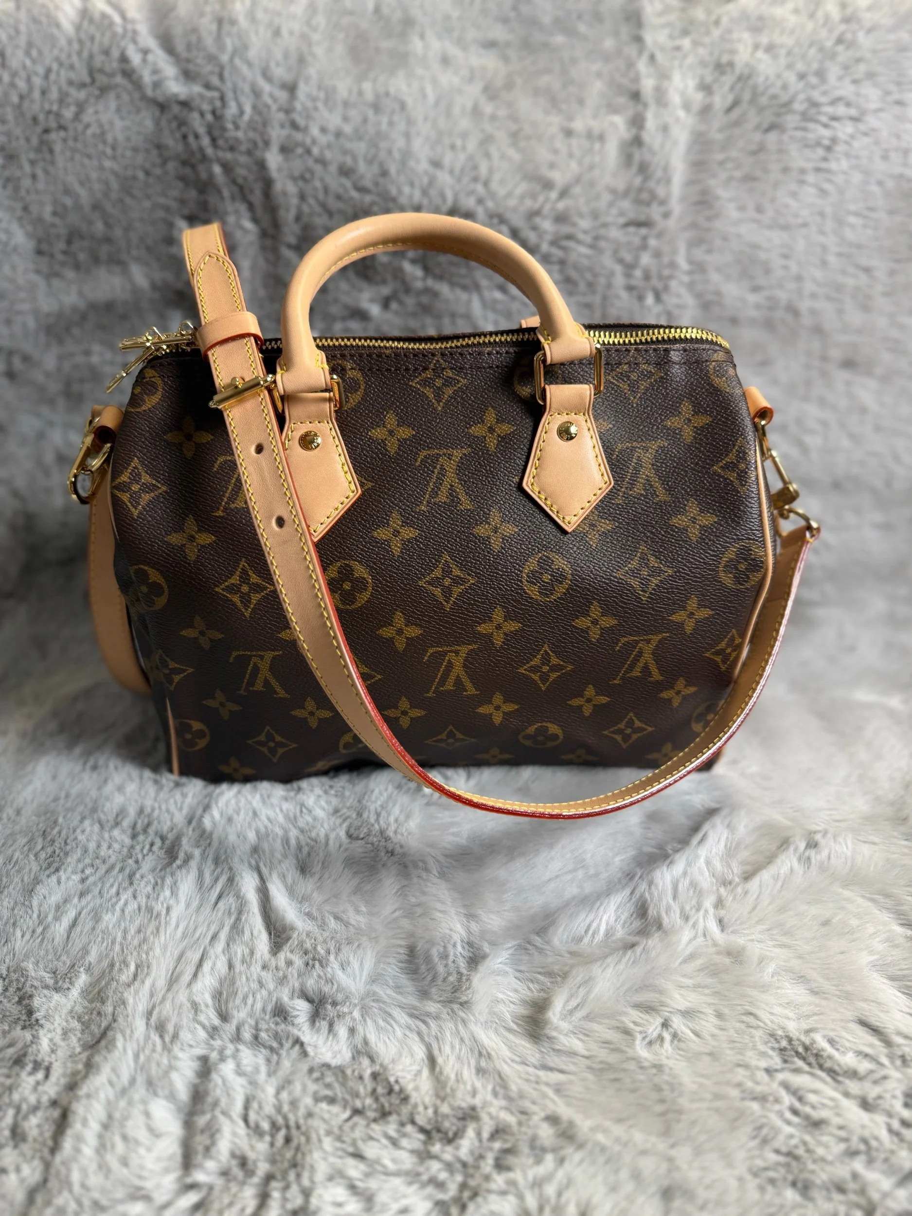 Louis Vuitton Monogram Speedy Bandoulière 25