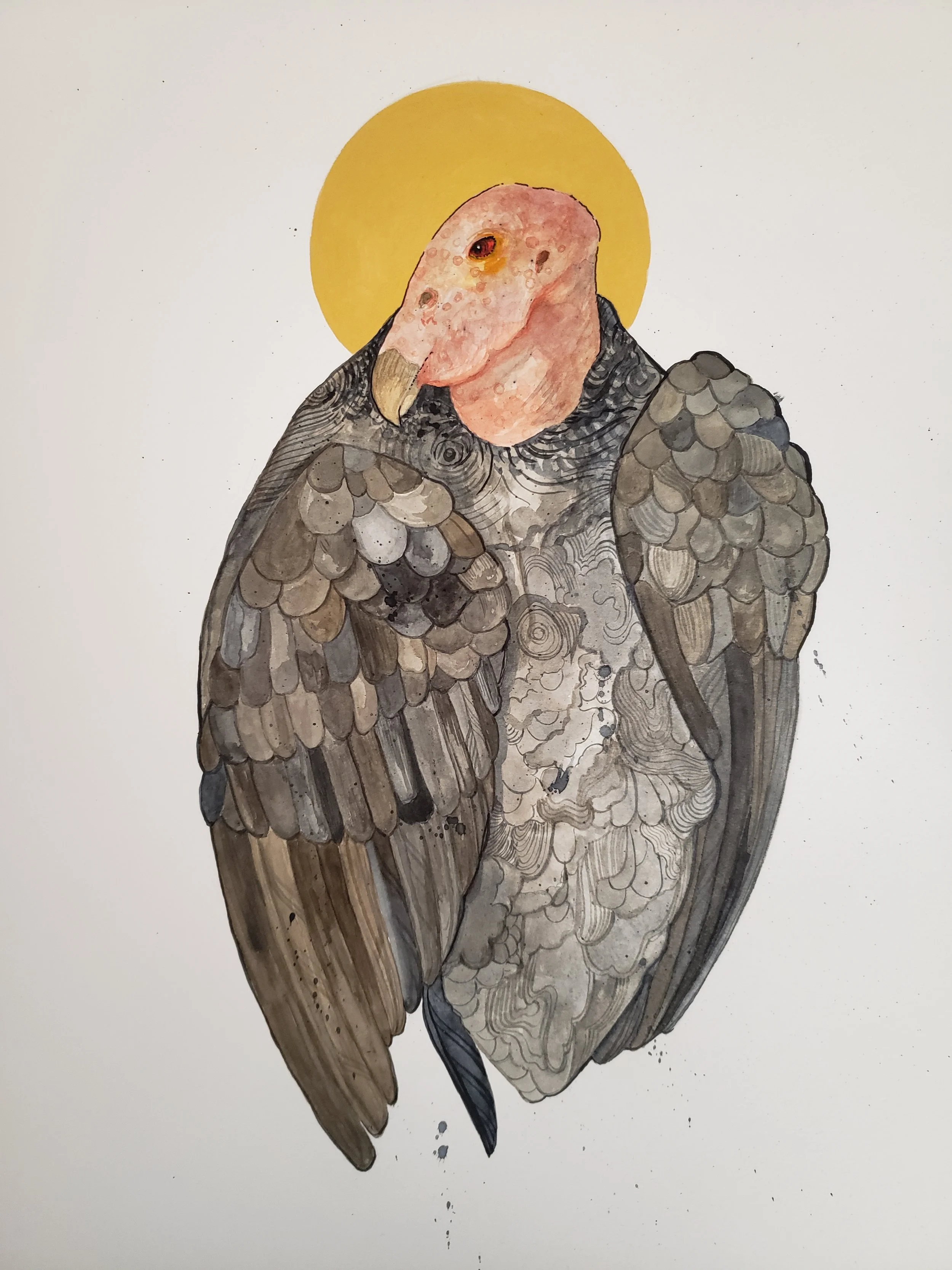California Condor 1 in watercolor, 12" x 16"