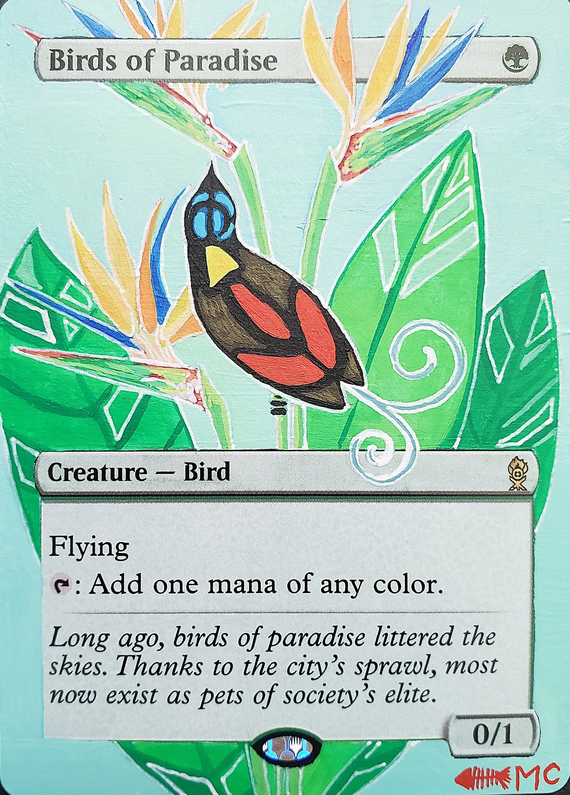 Birds of Paradise