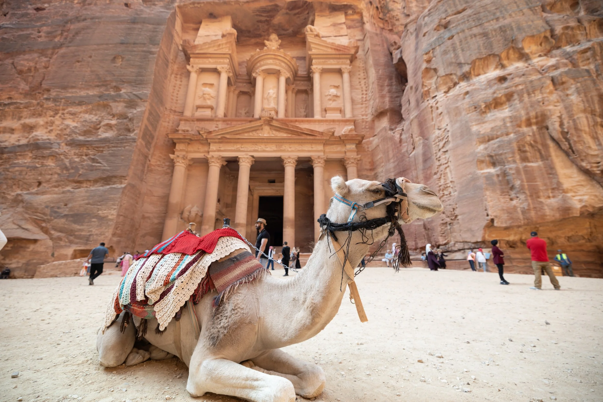 Camel resting in front of the Treasury at Petra, Jordan, with carved sandstone façade and visitors walking through the ancient Nabataean city